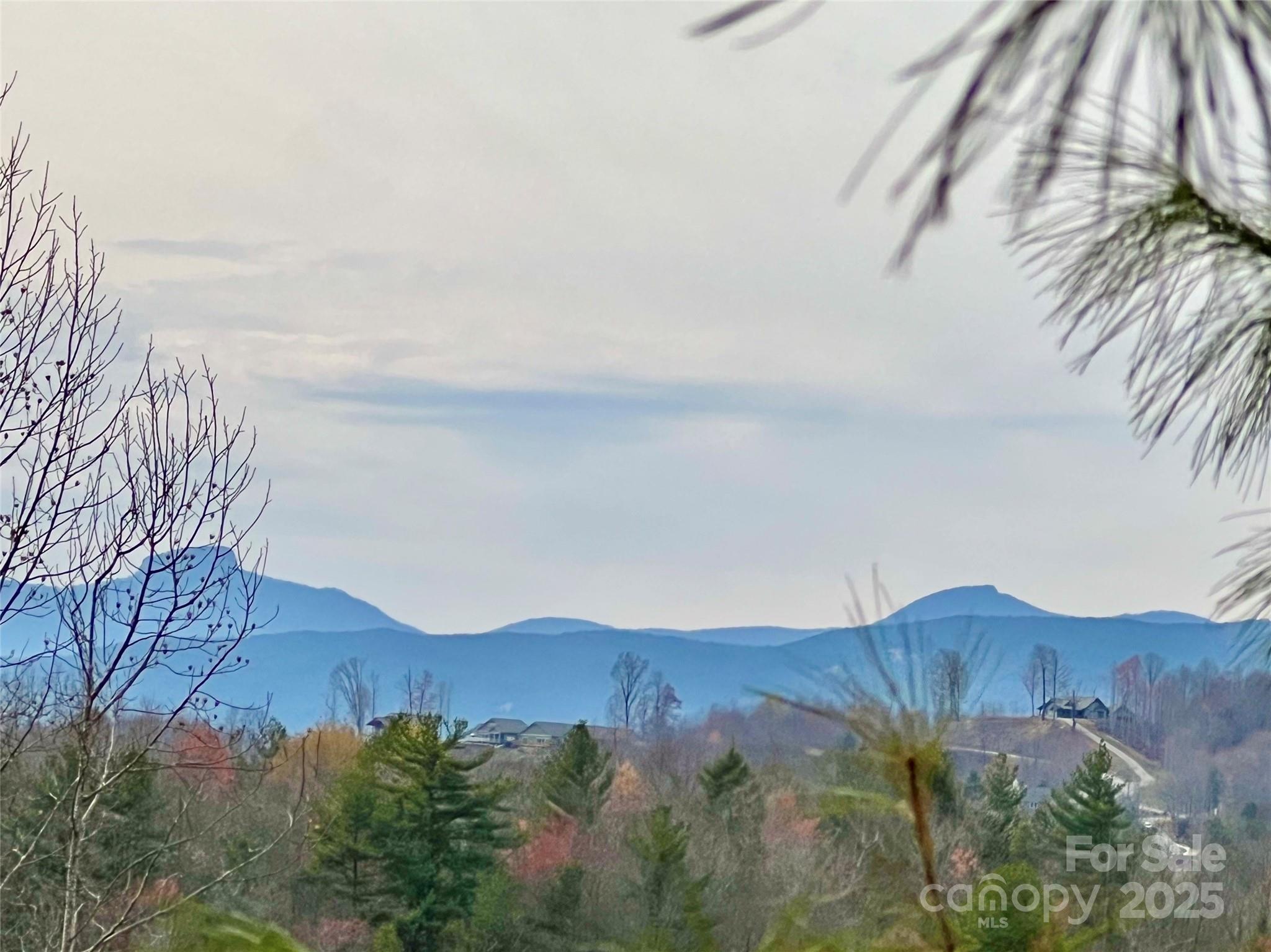 2.1 acre home site at The Coves Mountain River Club, only $74,900! Perc-ed for 3 bedrooms (permit has expired). *No time limits to build. Builder and Lender info available. Ideal spot to watch the famous "Brown Mountain Lights"!  The Coves is a 3,200 acre gated community on Johns River in the Blue Ridge Mountains. Private community trail system to hike, bike, ride horses, UTVS. Kayak, fish, pan for gold in 5 miles of Johns River on site. Community gardens, vineyard. Clubhouse: great-room with vaulted post and beam ceilings, 3 sided fireplace, pool table loft, full kitchen, fitness center, locker rooms, pool, fire pits, decks + porches, 360° views of Blue Ridge Mtns, South Mtns, Brushy Mtns! Social and recreational events, yoga, strength training, excursions, dinner club. 2 equestrian centers. Pickle-ball courts, shuffleboard, putting green. 20+ clubs. The Coves is a Firewise USA® Community, a program of the National Fire Protection Association, that helps neighbors organize to reduce wildfire risk, harden homes, and create defensible space by managing vegetation and preparing for wildfires. 1.25 hr to Charlotte or Asheville. Minutes to Blowing Rock, Morganton, Lenoir. *Majority of Coves home-owners are full time residents.