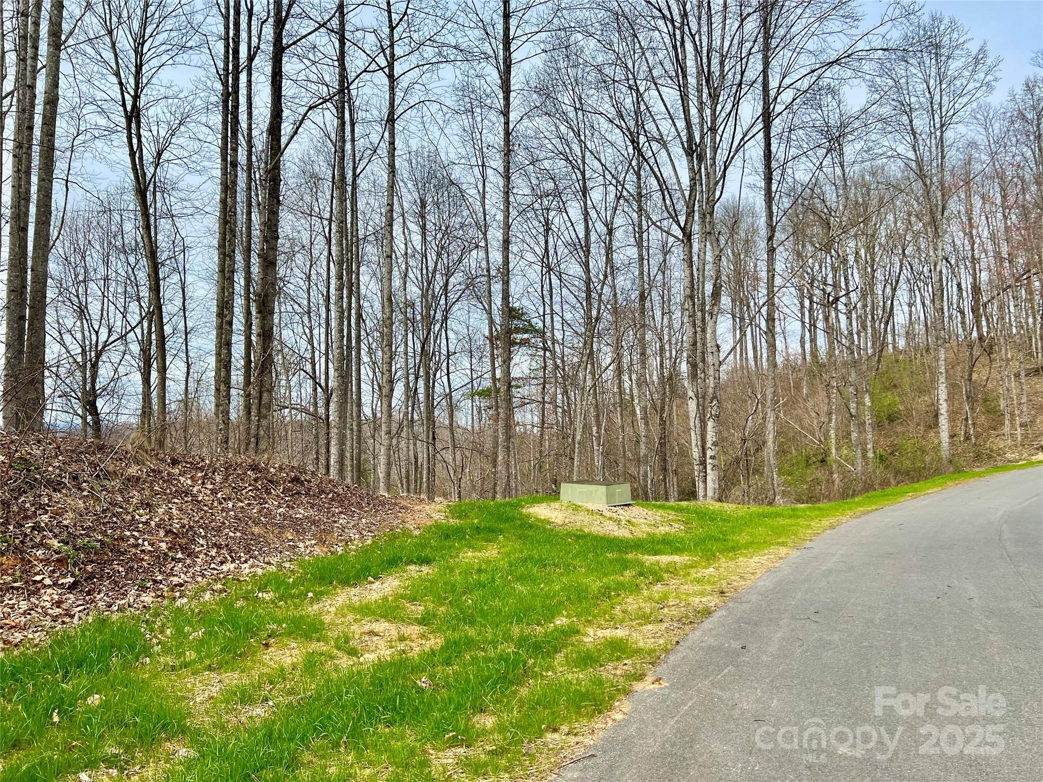 The Coves Mountain River Club - Land