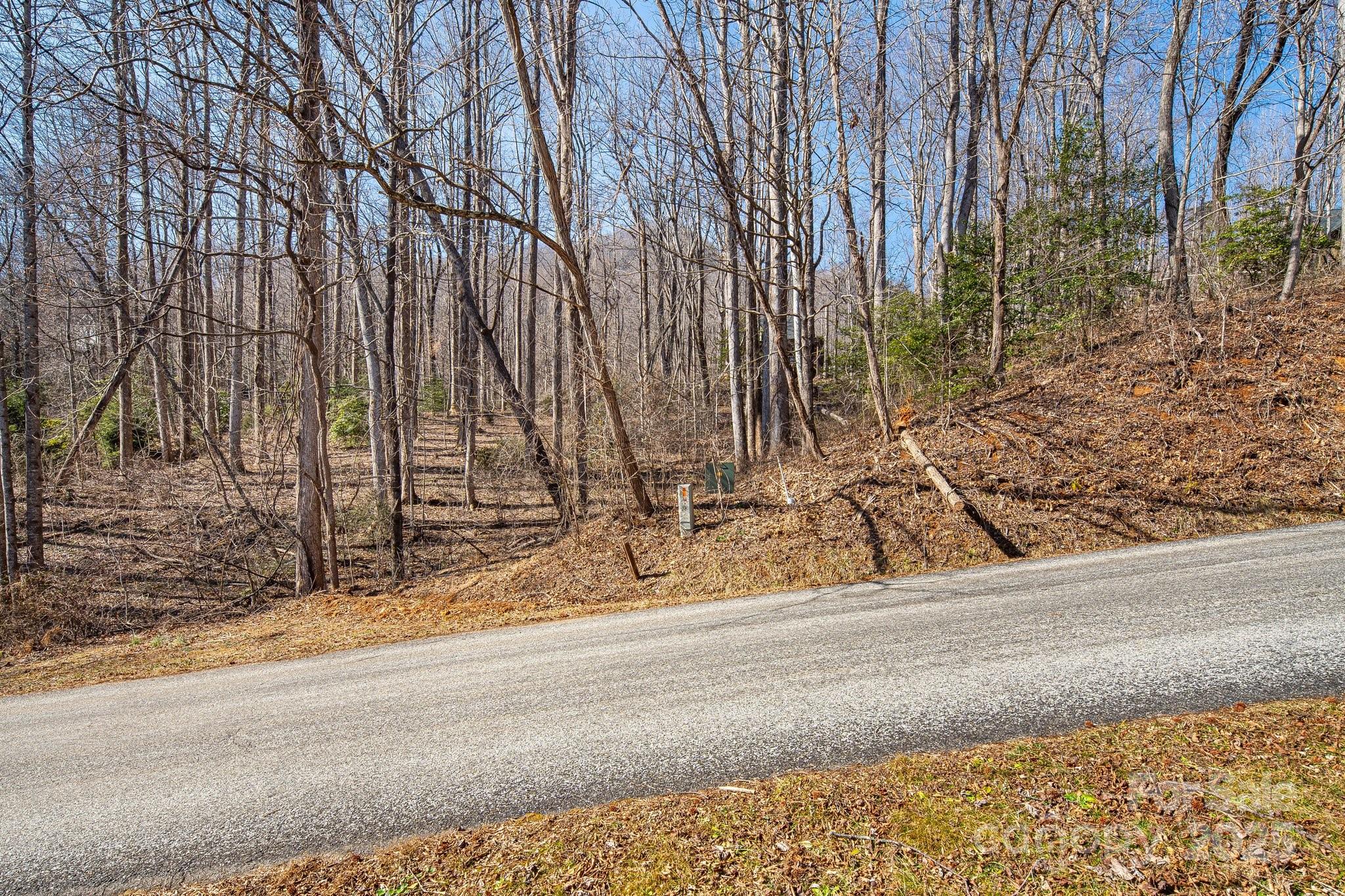 Linville Falls Mountain Club and Preserve - Land