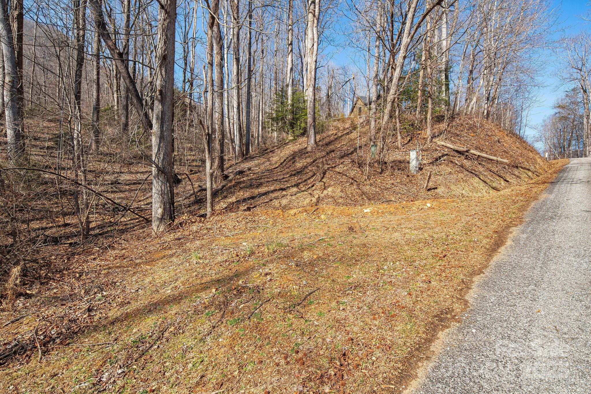 Linville Falls Mountain Club and Preserve - Land