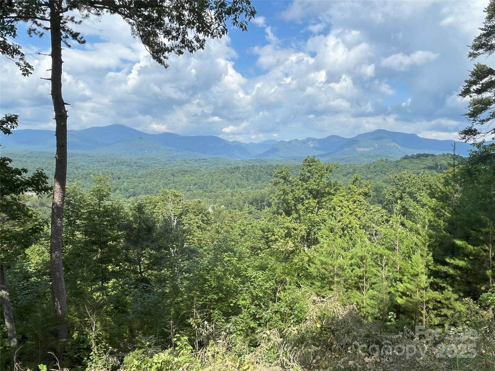 Vista At Bills Mountain - Land