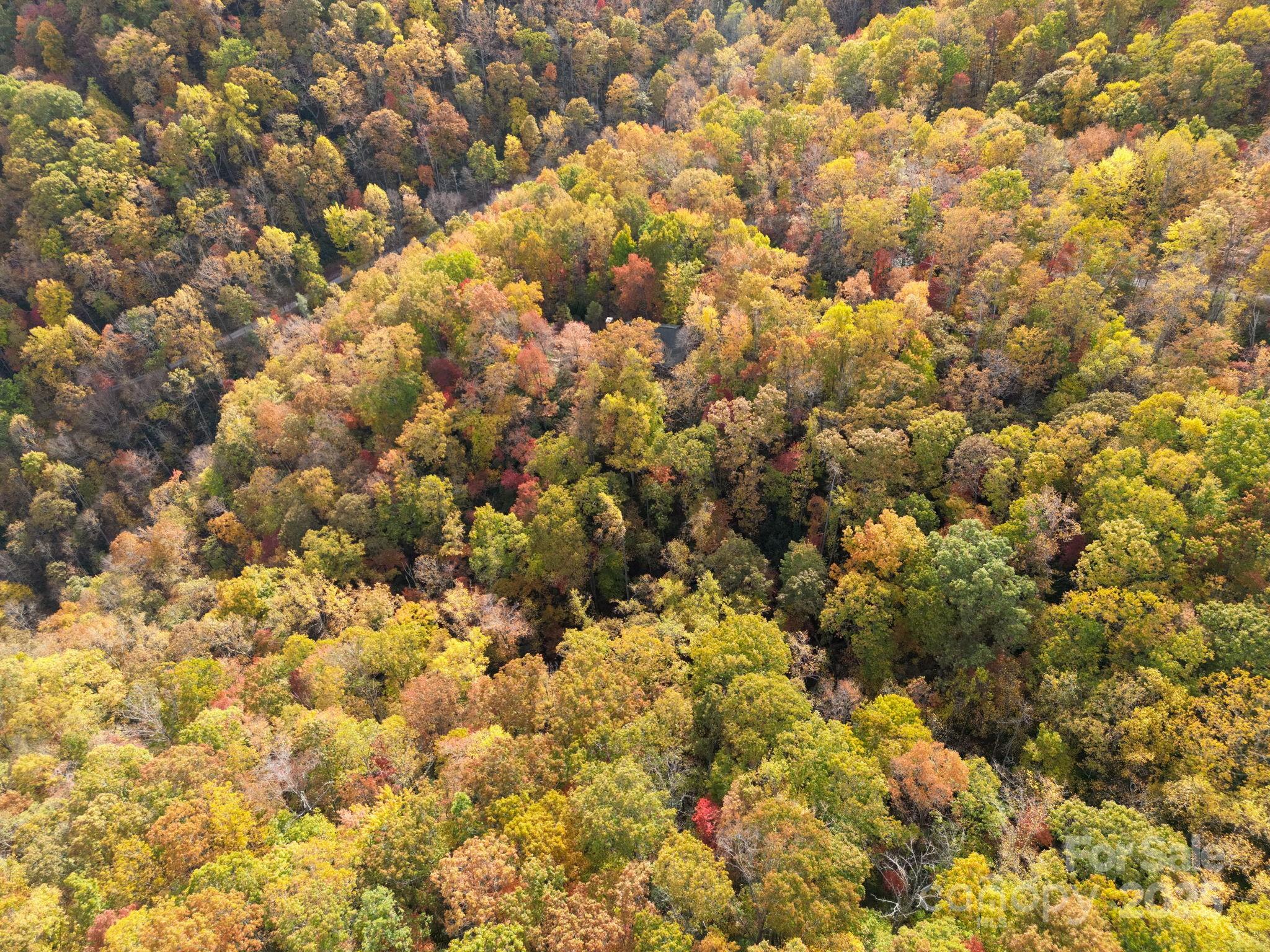 Idylwild - Land
