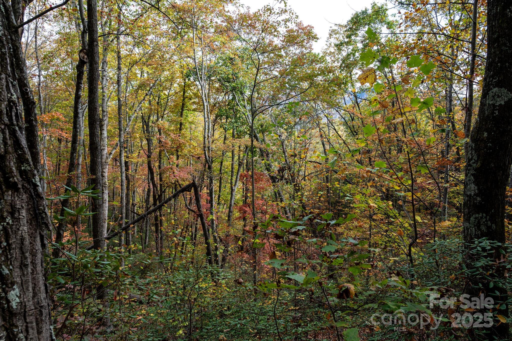 Idylwild - Land