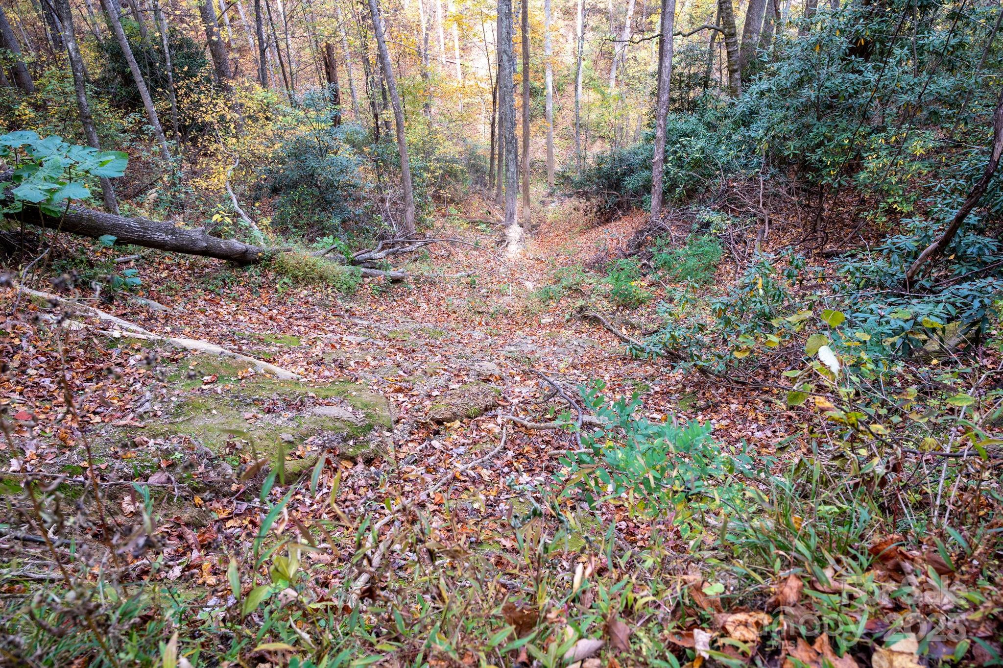 Idylwild - Land
