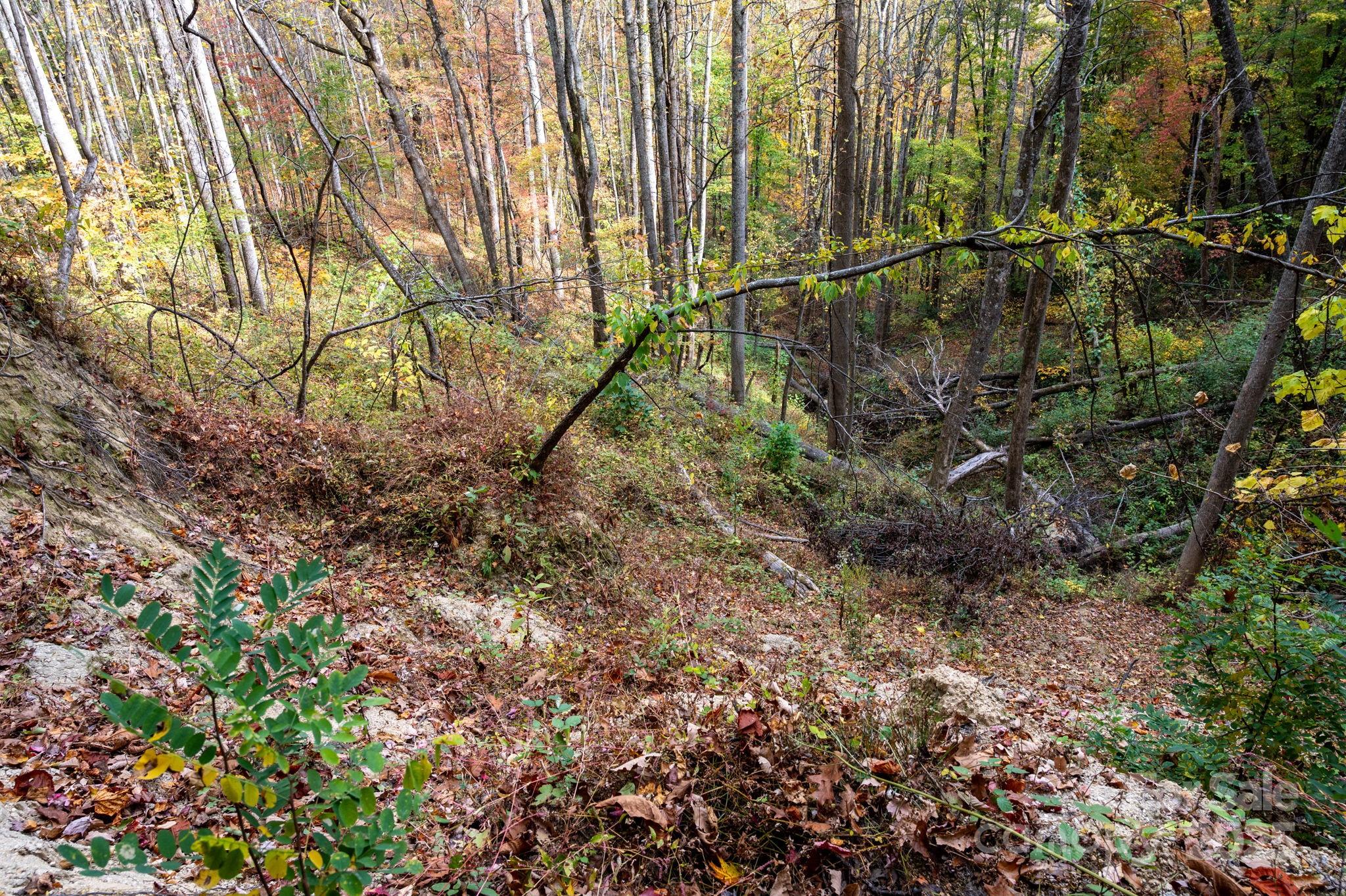 Idylwild - Land