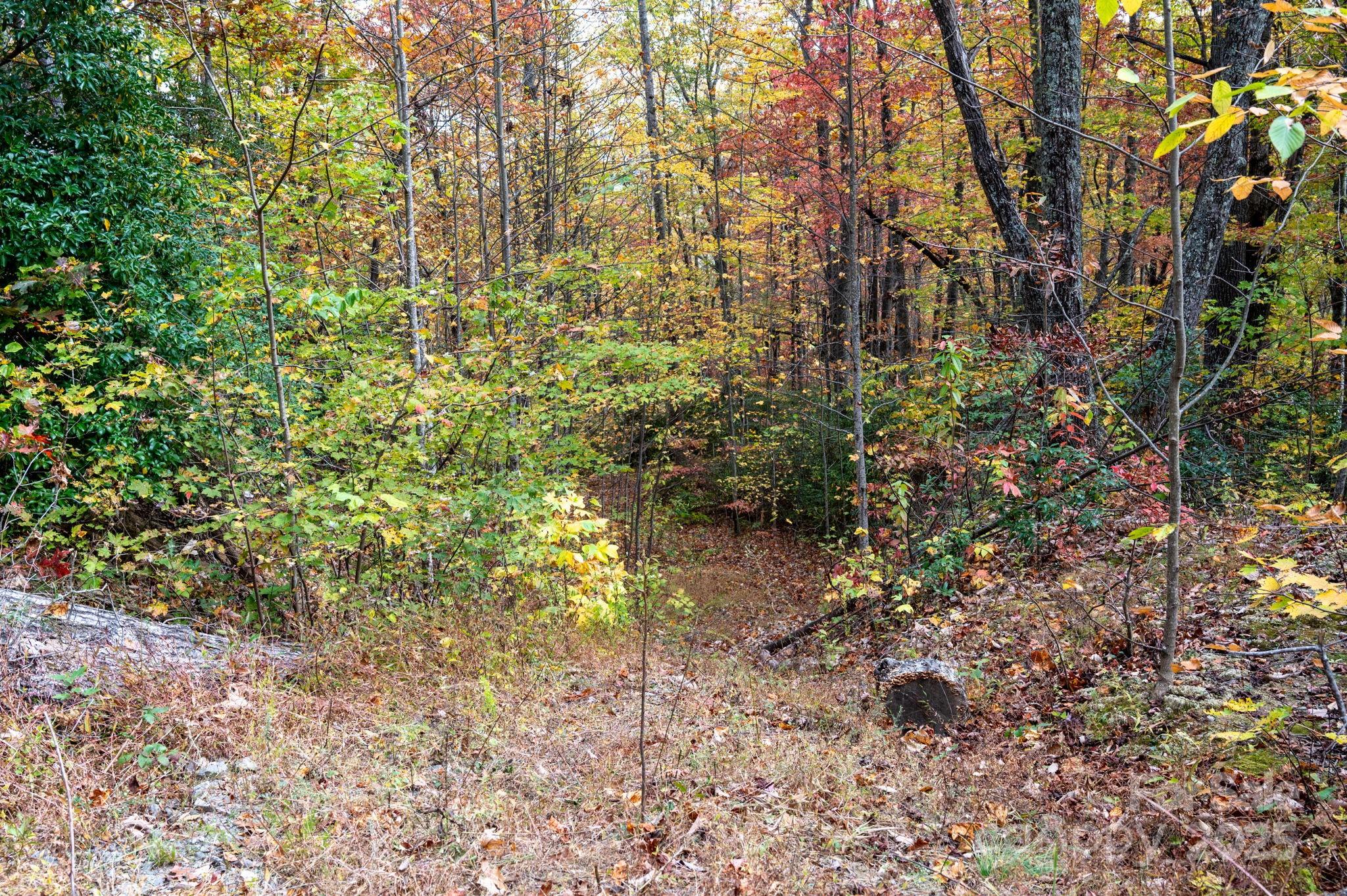 This beautiful, wooded 5+ acre lot exudes calm, serenity and peace. The perfect place to build either your vacation home, forever home or to just get away from it all. Enjoy the sounds of a rushing waterfall (on the edge of the next property) and breathe in the natural beauty of WNC as you kick back and watch the sunsetting and the seasons change.
With a septic permit already approved for a 3 bed 2 bath home, underground electric utility and fiber internet installed and build site already picked out, it's time to embrace the peace and beauty of mountain living.
Don't let this one go, this is the opportunity that you have been waiting for!