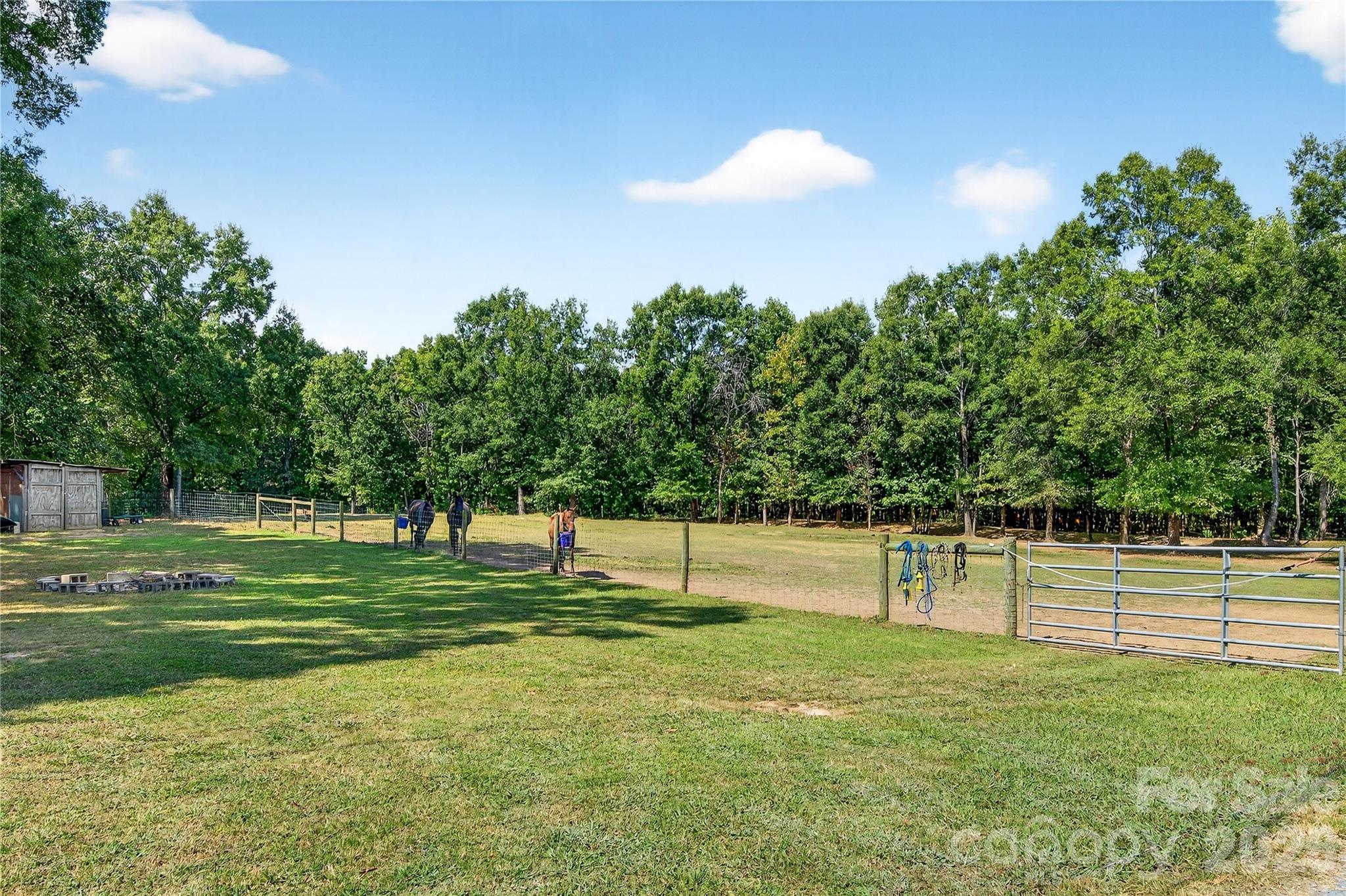 MOTIVATED SELLER! Rare opportunity to own a  6.3+ acre horse property in highly sought-after Wesley Chapel—just minutes from shopping, dining, and everyday conveniences, yet tucked away for ultimate peace and privacy.

This all-brick ranch is thoughtfully set up for equestrian living with 3 fenced paddocks, a dry lot, and no-climb wire fencing. Two paddocks offer mature shade trees, and the property includes a large run-in shed (with potential for conversion to a shed-row barn), a hay barn accommodating approximately 100 square bales, and a spacious storage/tack shed.

Enjoy peaceful views of your horses right from the kitchen window. Inside, the home features an open eat-in kitchen, cozy family room, and a warm wood-burning fireplace.

Whether you choose to live in the existing home, create rental income, or take advantage of the acreage to build your dream home or estate, this property offers exceptional flexibility and long-term potential. County water is connected, with an additional well servicing the pastures.

Hard-to-find acreage, horse-ready amenities, and a prime location in the Weddington School District make this a standout opportunity.
