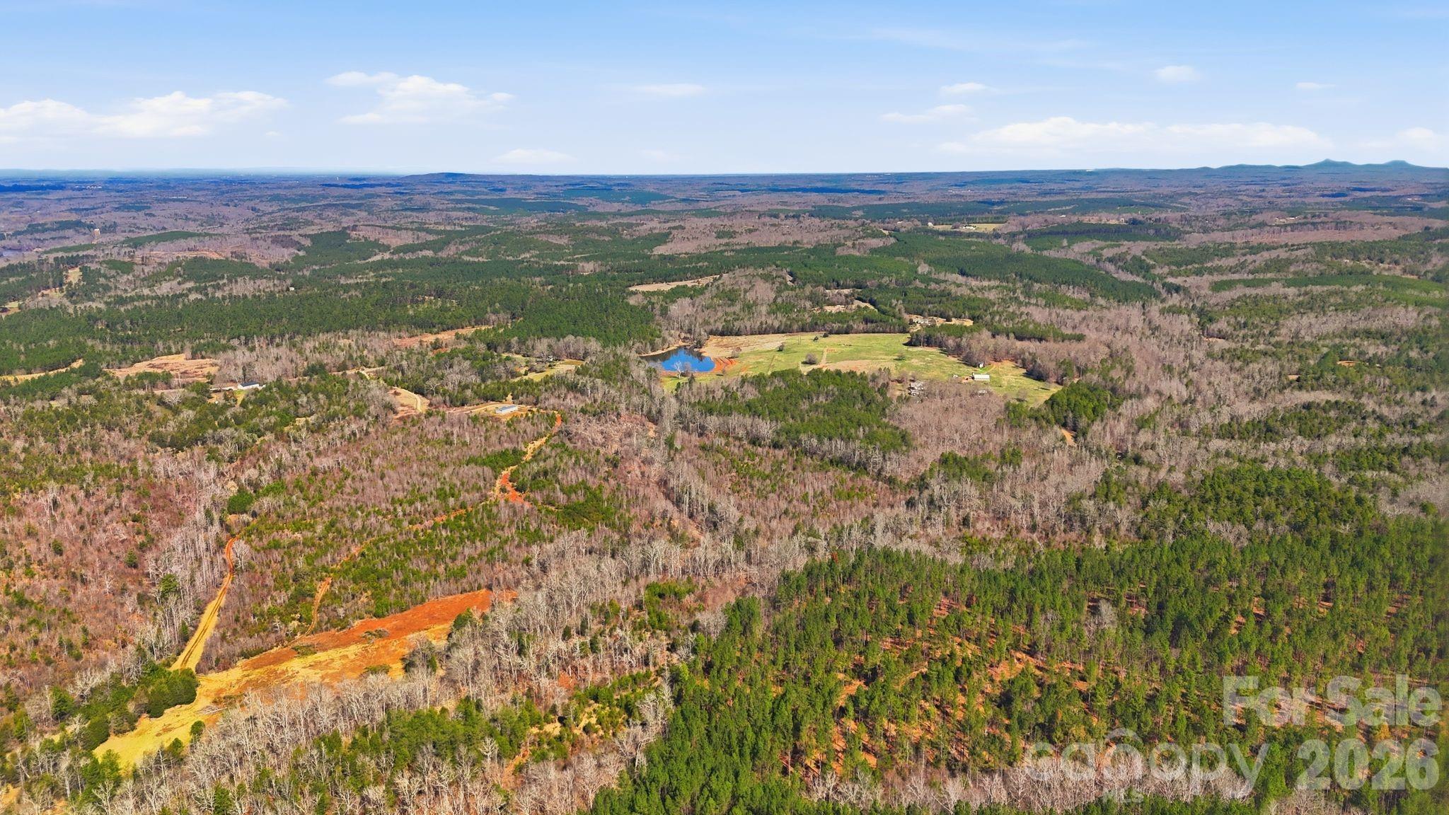 Discover 42 +/- acres of beautiful raw land ready for someone to bring their vision to life. With clear-cut areas, meandering streams, and abundant wildlife, this land offers endless possibilities - Whether you're dreaming of building a private estate, creating a family compound, starting a mini farm, or simply enjoying wide open space and peaceful surroundings, the possibilities here are endless. With plenty of room to spread out, this property offers the perfect opportunity to design the lifestyle you've always imagined. If you've been searching for land where you can truly dream big and make it your own, this could be the one.