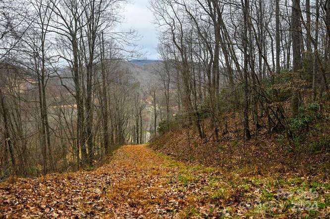 Ideal land for building a dream mountain home in the pastoral Crabtree community. A cleared, rough-in drive gently slopes to a graded house pad, replete with winter mountain views (or year round with just a couple of trees removed from your own land) and crowned by a thick forest of Rhododendron. Privacy abounds with three additional acres to improve, explore, or simply enjoy as part of your own quiet mountain oasis. This is a must see property! POST HELENE UPDATE: New Bridge is now complete, and completely paid for by current property owners. See Agent Remarks for current access details. Click Here for a drone video tour:  https://tours.maryyoungphotography.com/2295635?idx=1