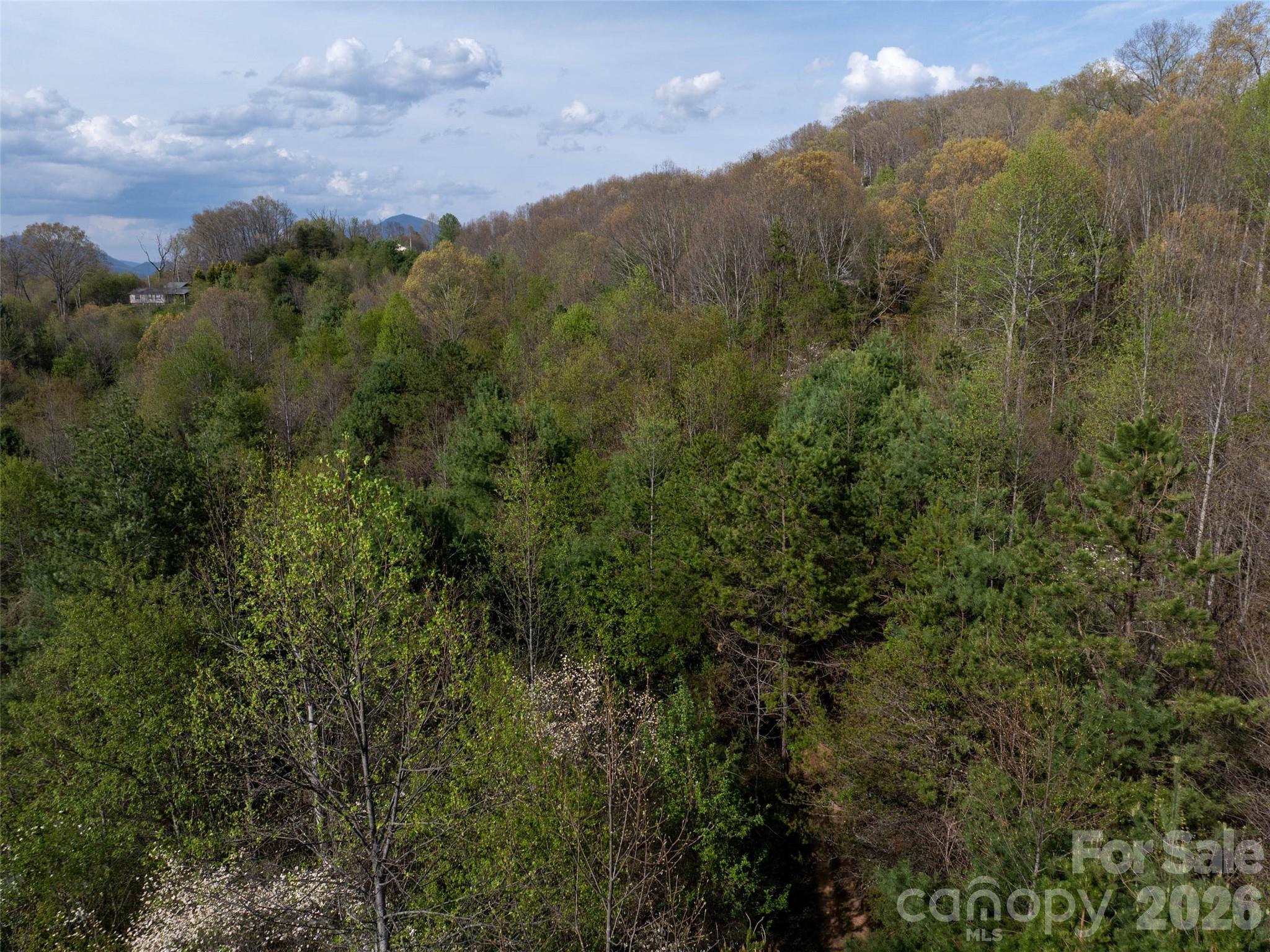 Hyder Mountain Acres - Land