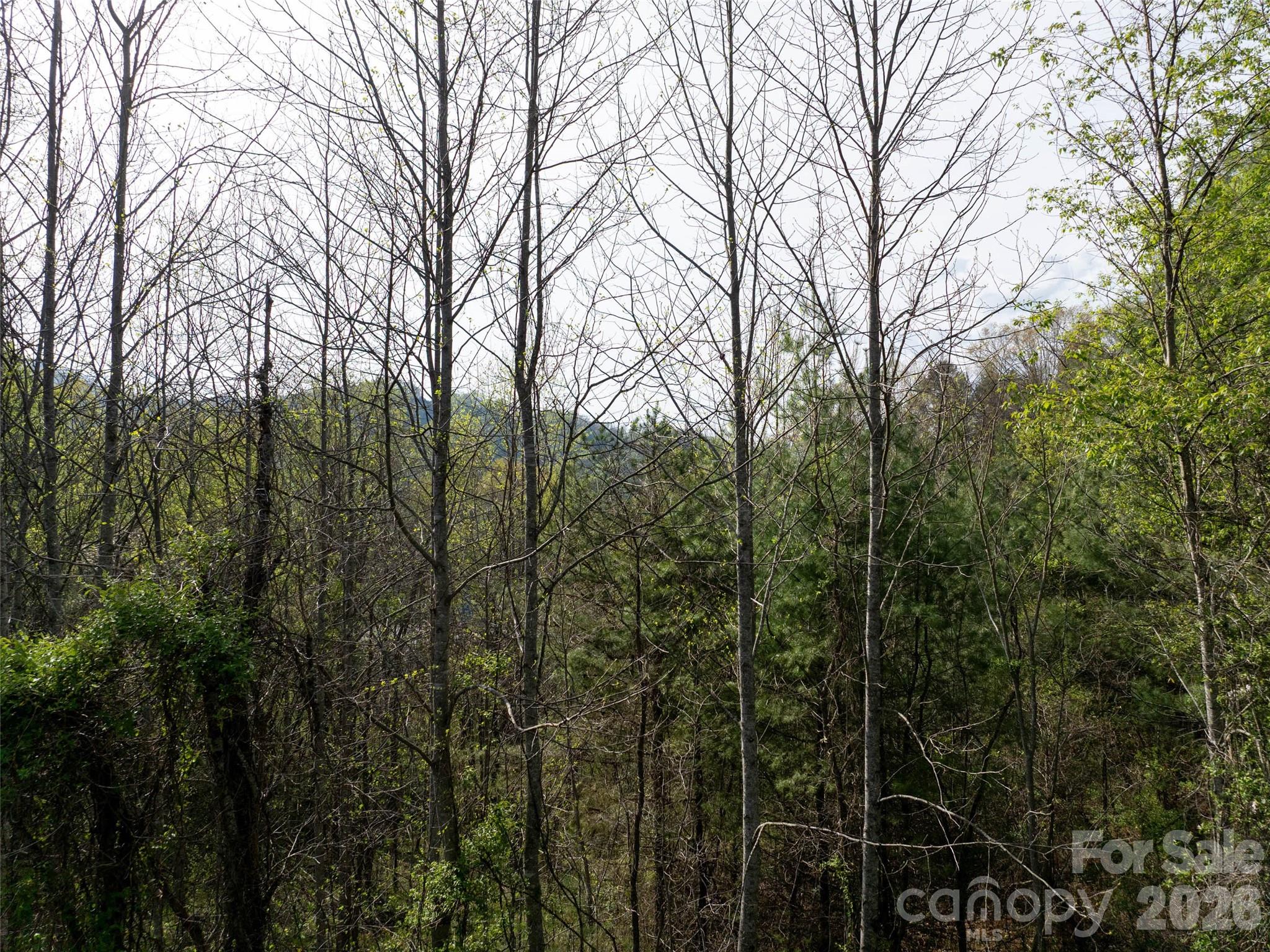 Hyder Mountain Acres - Land