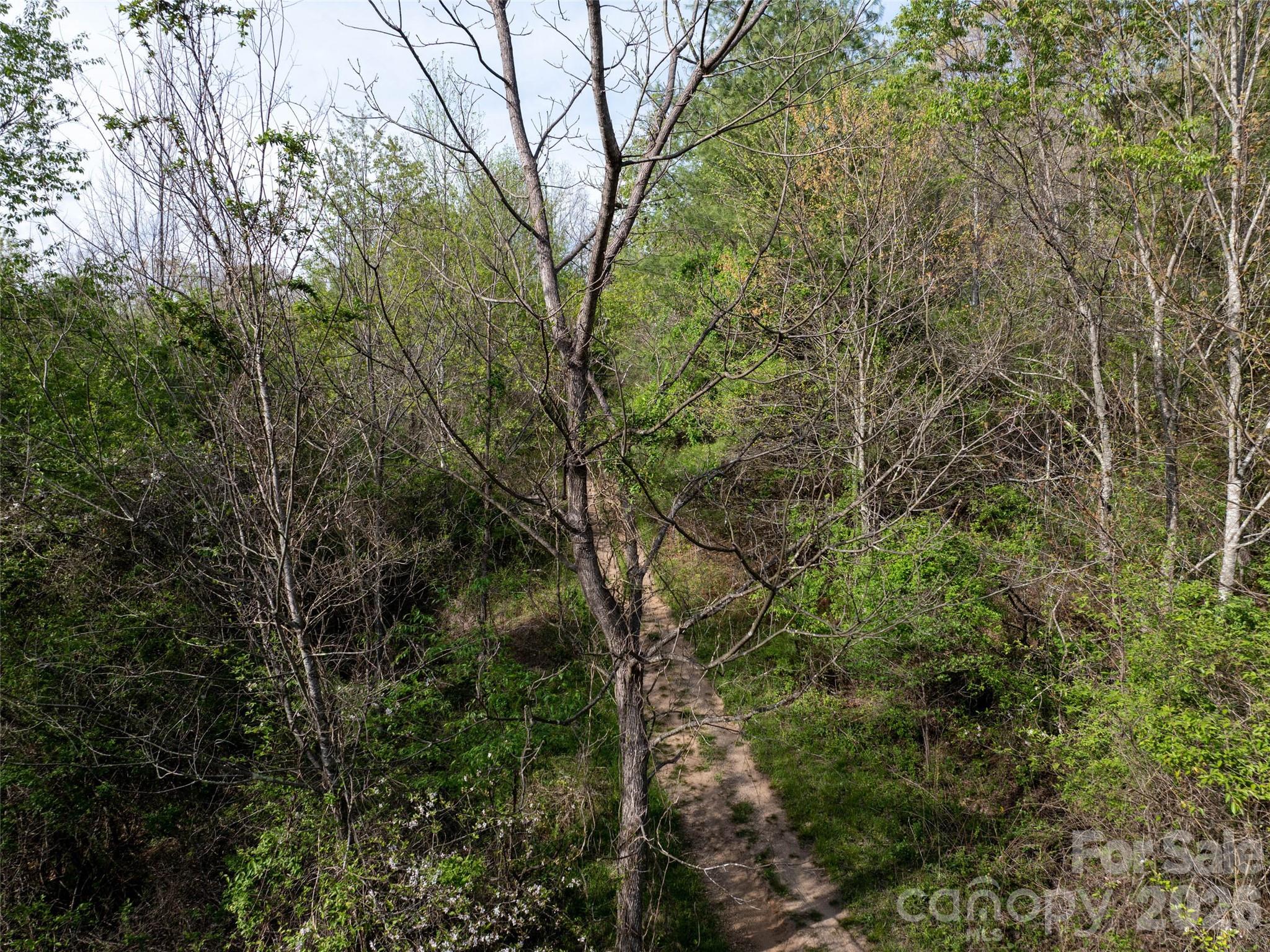 Hyder Mountain Acres - Land