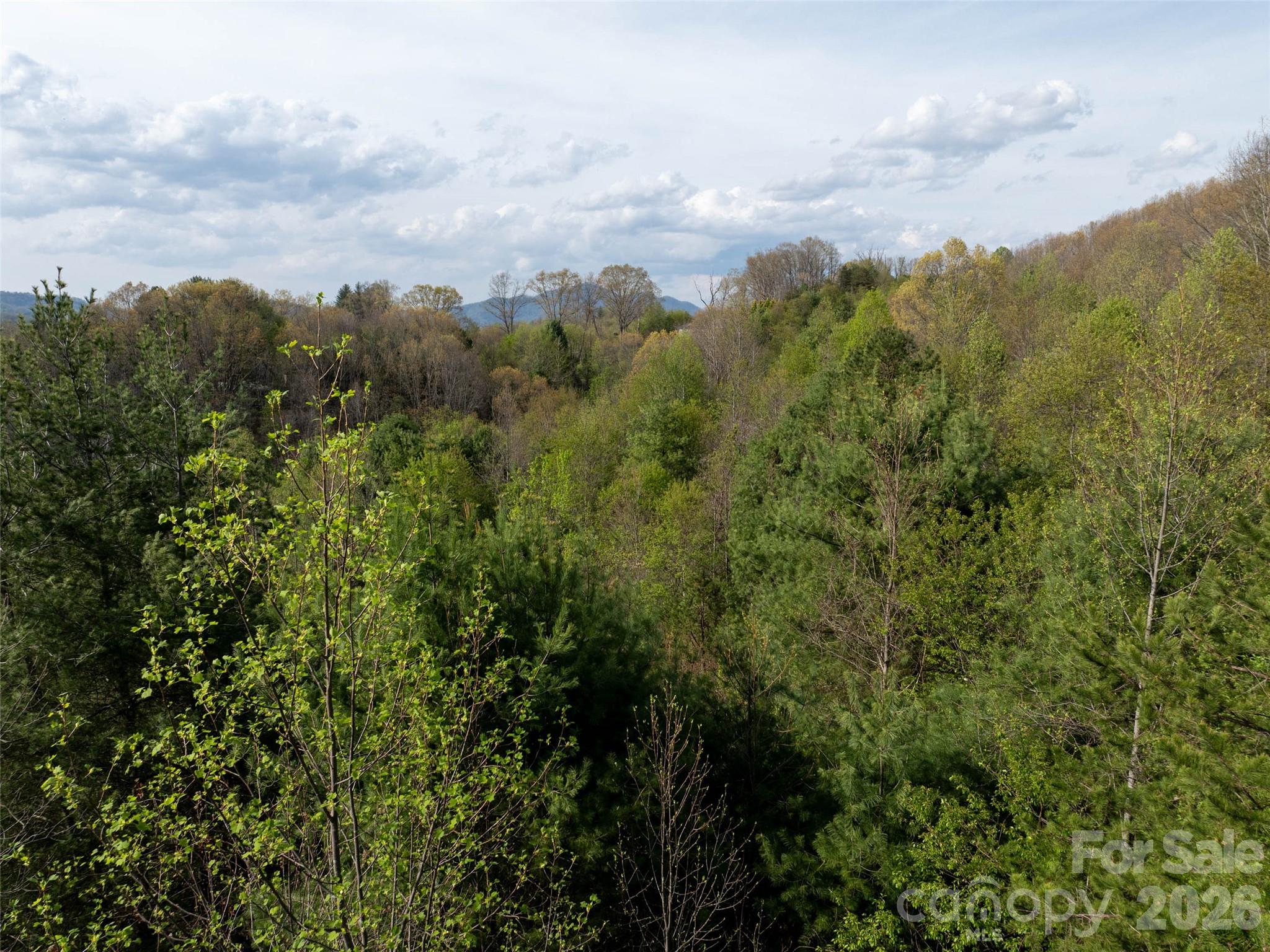 Hyder Mountain Acres - Land