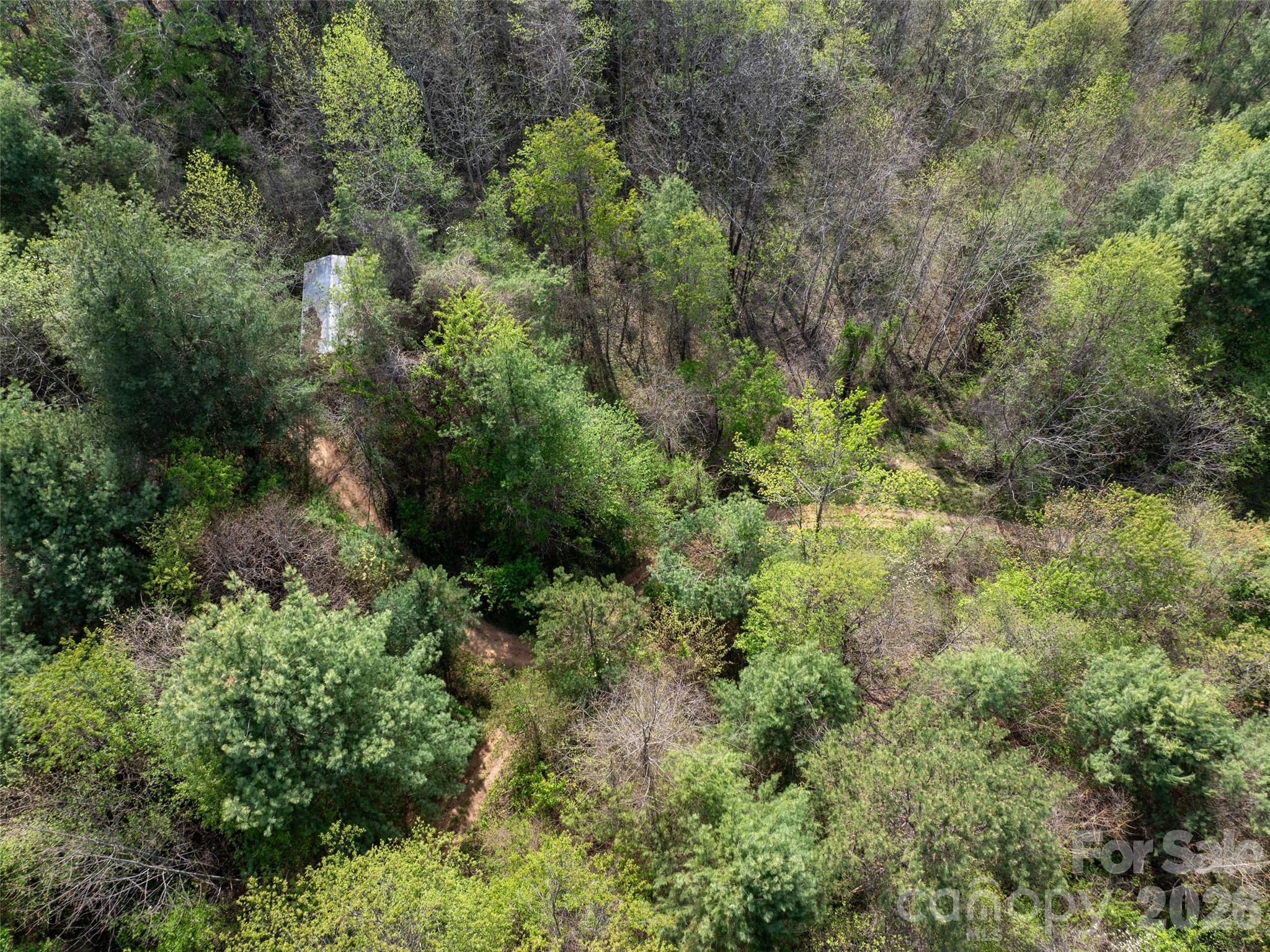 Hyder Mountain Acres - Land