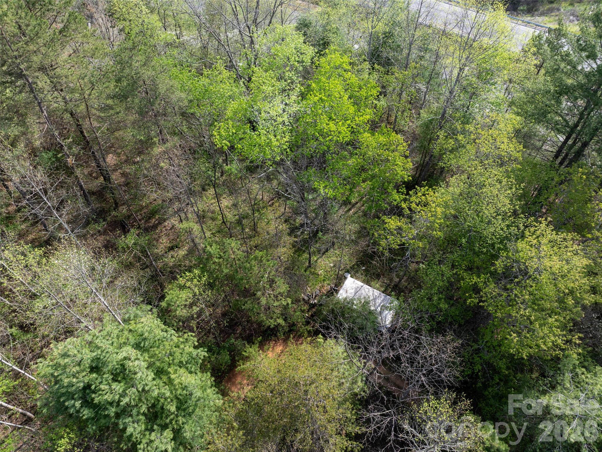 Hyder Mountain Acres - Land
