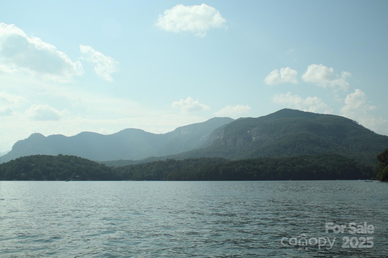 Rumbling Bald on Lake Lure - Land