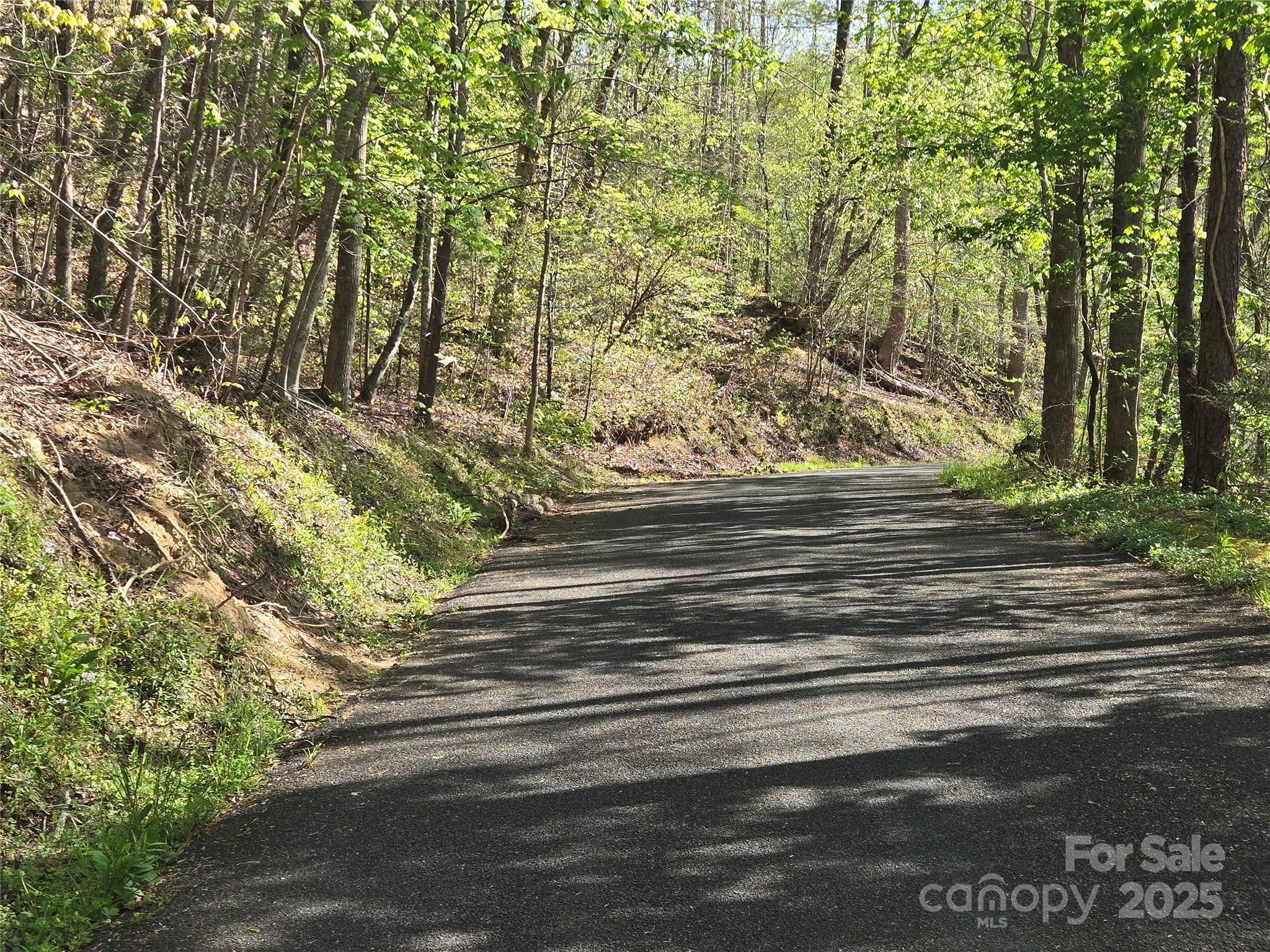 Rumbling Bald on Lake Lure - Land