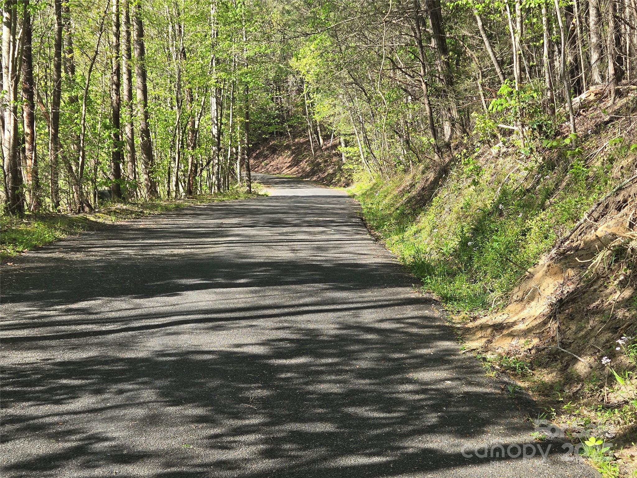 Rumbling Bald on Lake Lure - Land
