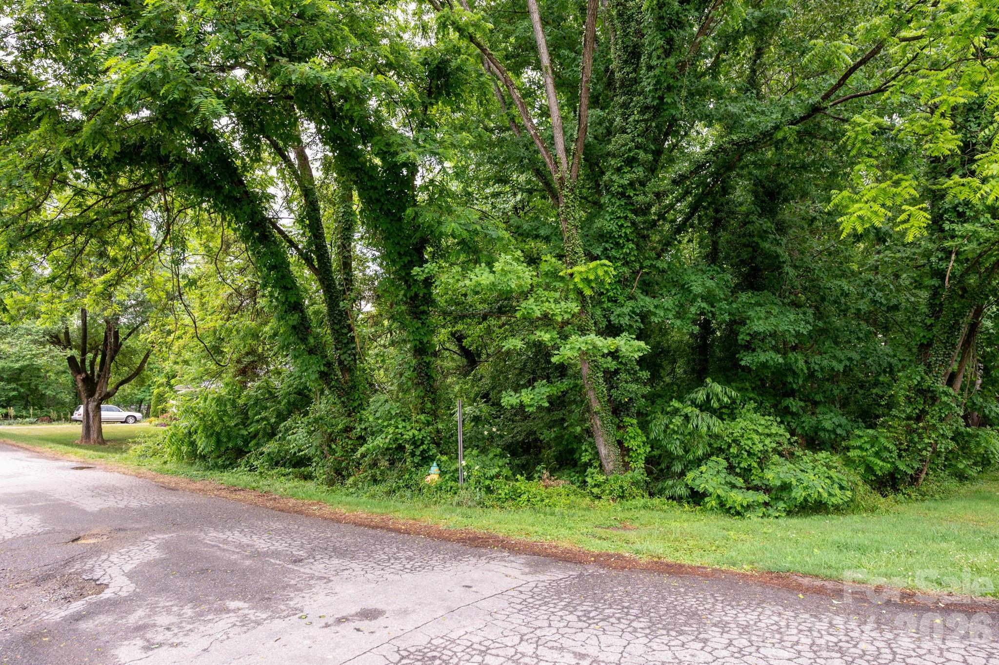 Tucked into a quiet pocket of Candler right on the border of West Asheville, this rare 0.30-acre homesite offers the best of both worlds...peaceful neighborhood vibes plus quick access to everything. RM6 zoning opens the door for a variety of residential possibilities, while city water and sewer availability make the path to building even easier. Mature trees create a private, natural setting, yet you’re just minutes to Downtown Asheville, West Asheville restaurants and breweries, and everyday conveniences in Candler. A hard-to-find opportunity in a rapidly growing area with excellent access and big potential.