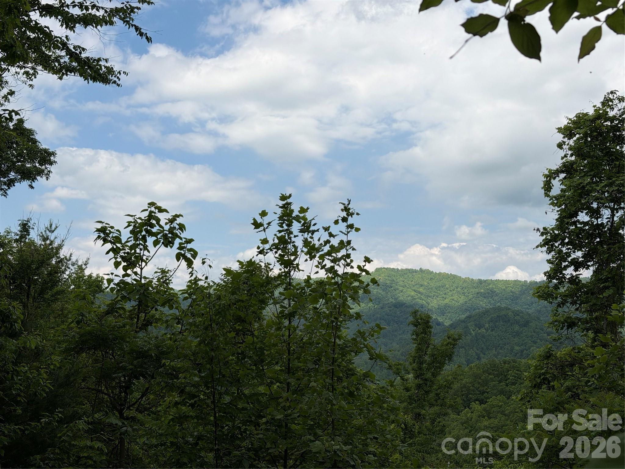 Escape to the beauty of the Western North Carolina mountains with this rare opportunity to own 32 deeded acres of private, wooded land with infrastructure already in place. Whether you're looking for a mountain homestead, hunting property, recreational retreat, or a place to build your North Carolina dream home this property offers the perfect combination of privacy, usability, and natural beauty. The established road network makes exploring the land easy and opens up multiple potential building sites. The timber and mountain terrain create a peaceful setting with abundant wildlife and year-round natural beauty. Properties with acreage, utilities, water potential, and existing structures are becoming increasingly difficult to find in Western North Carolina. This tract is ready for your vision whether that's a private retreat, family compound, or investment property. Schedule your showing today and come experience the possibilities this mountain property has to offer.