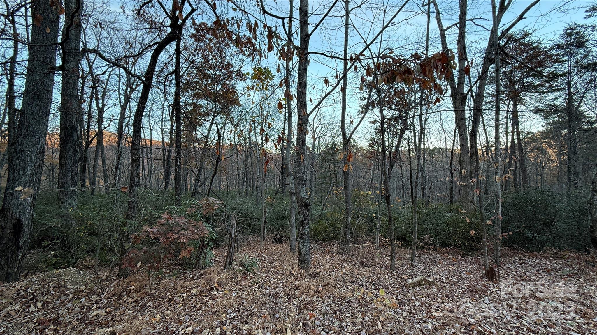 Quail Ridge - Land
