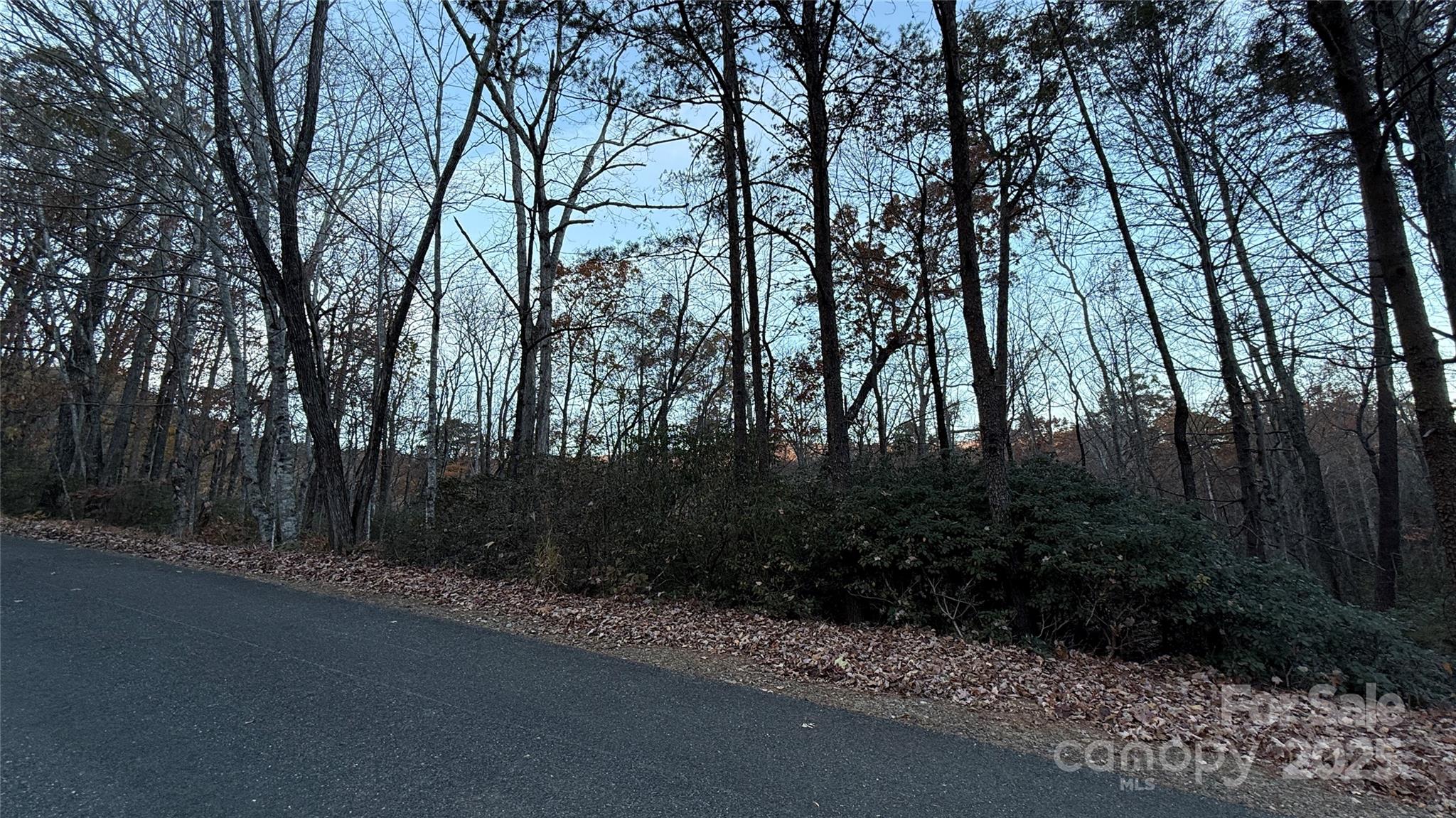 Quail Ridge - Land