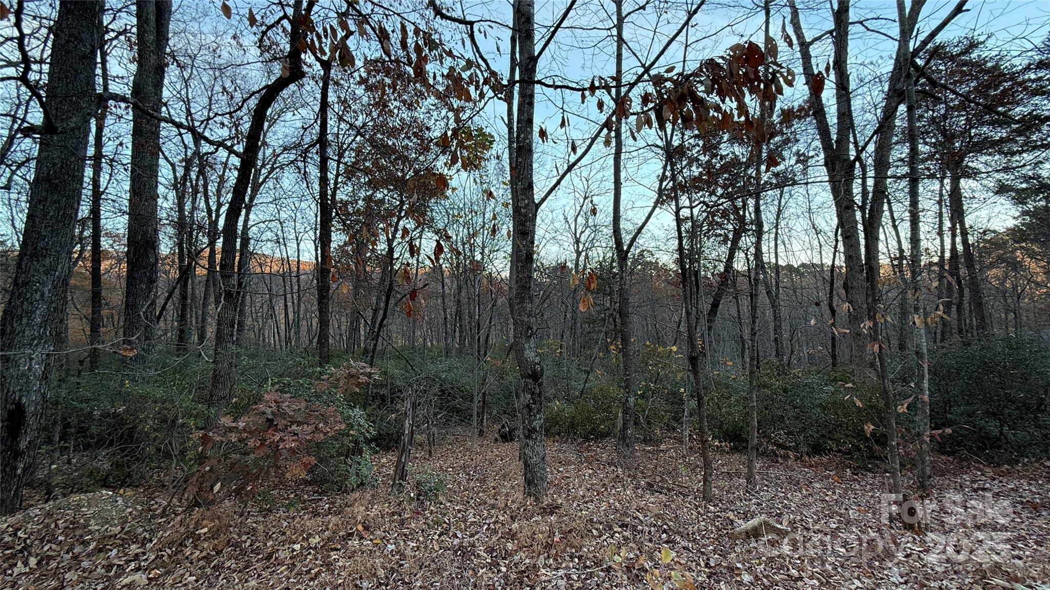 Quail Ridge - Land