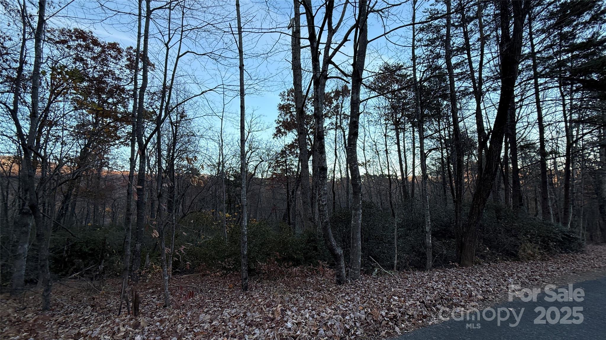 Quail Ridge - Land