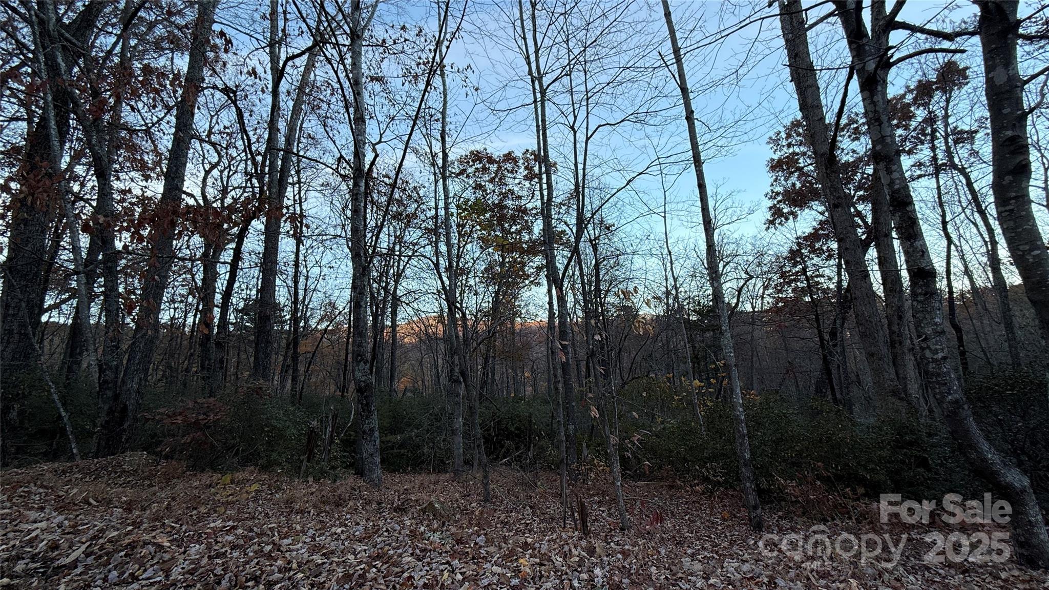 Quail Ridge - Land