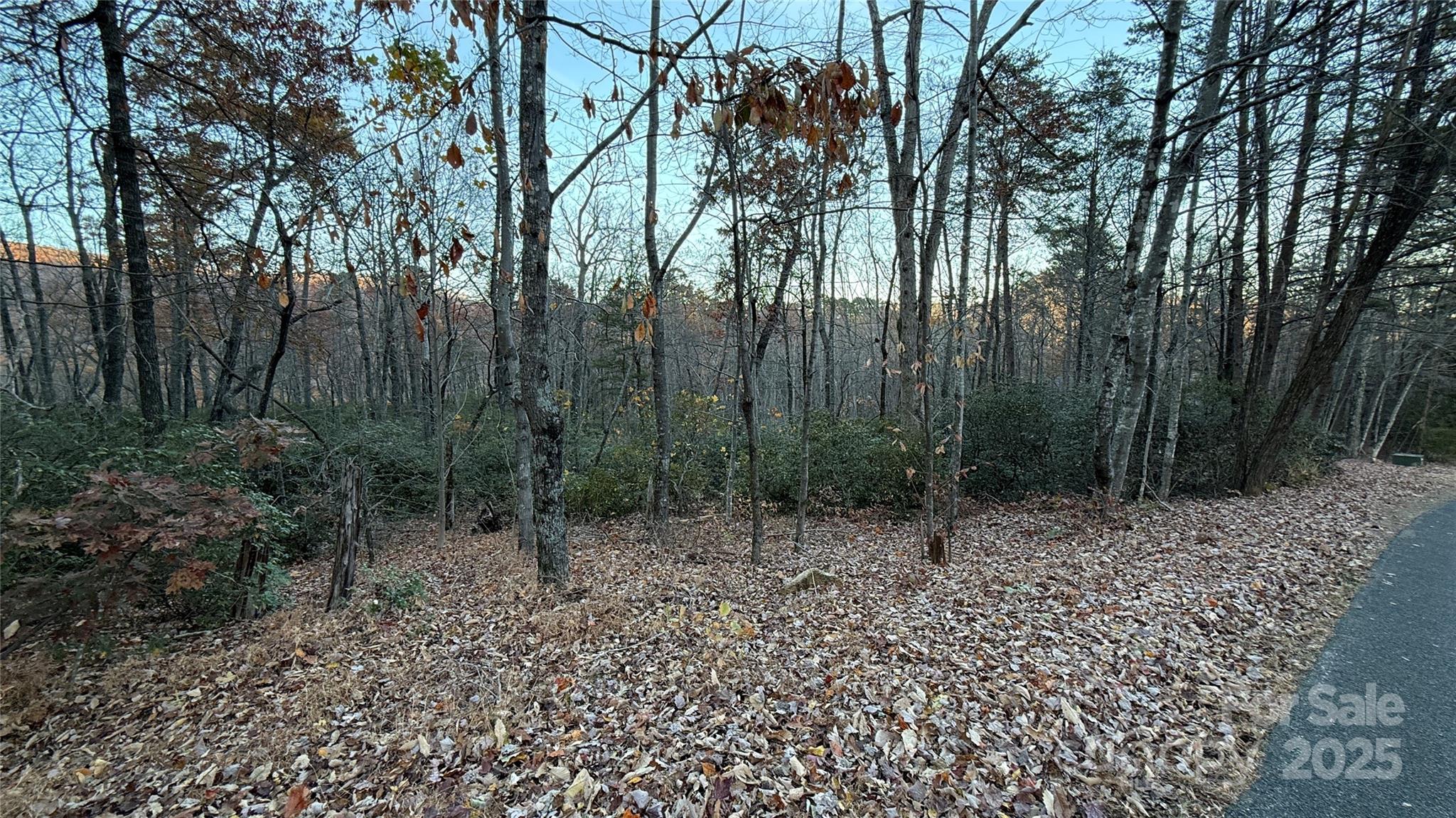 Quail Ridge - Land