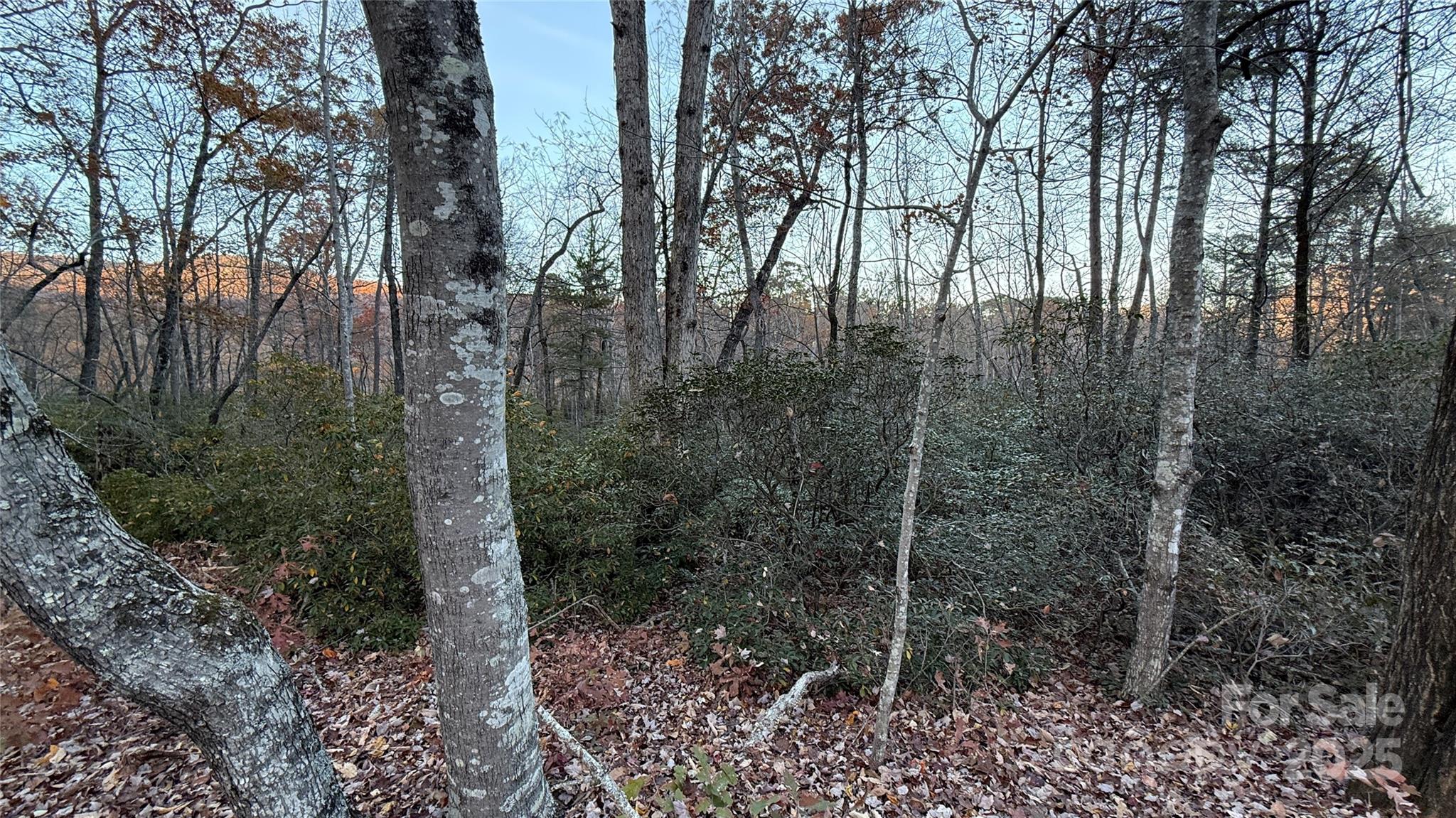 Quail Ridge - Land