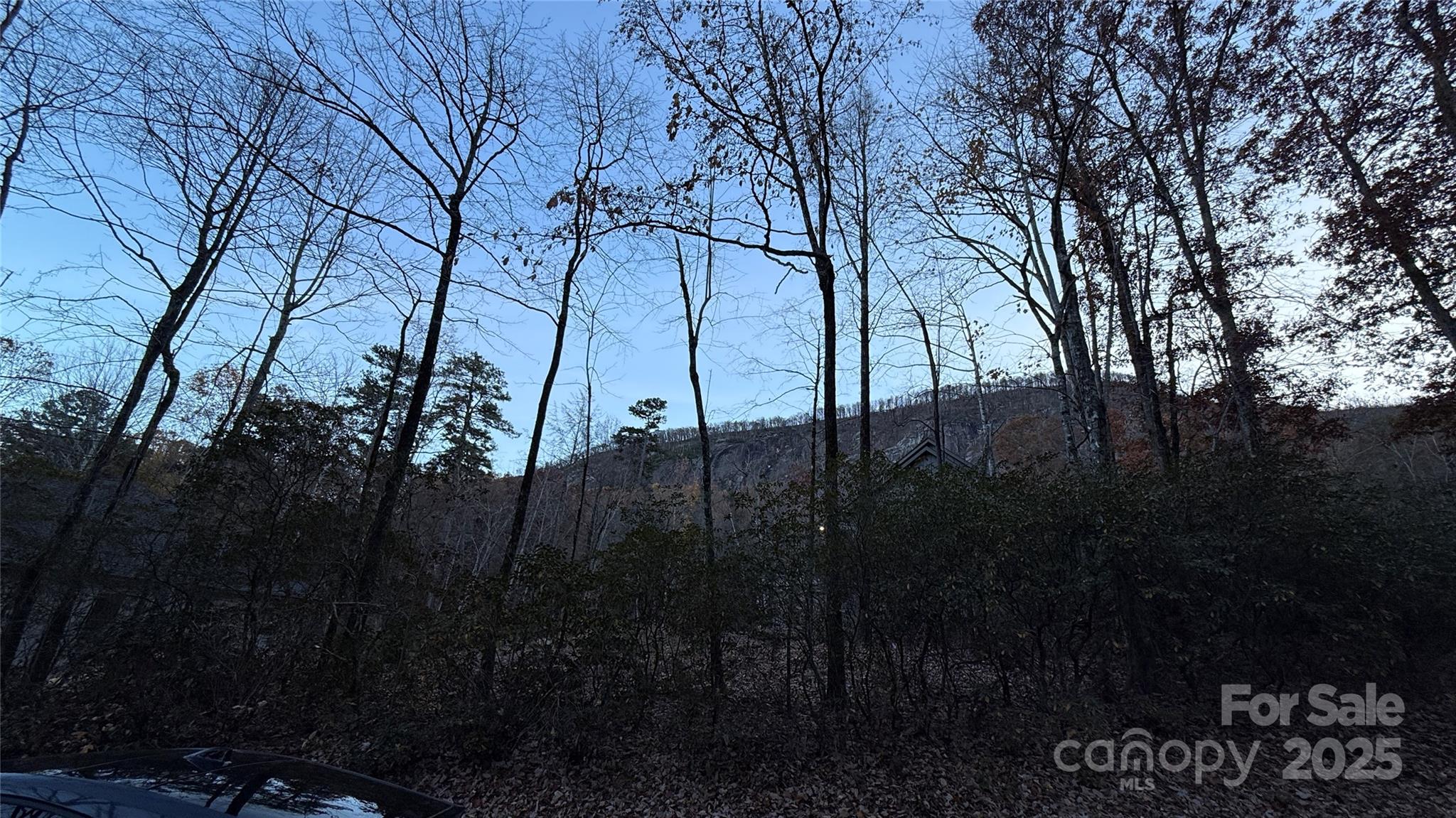 Quail Ridge - Land