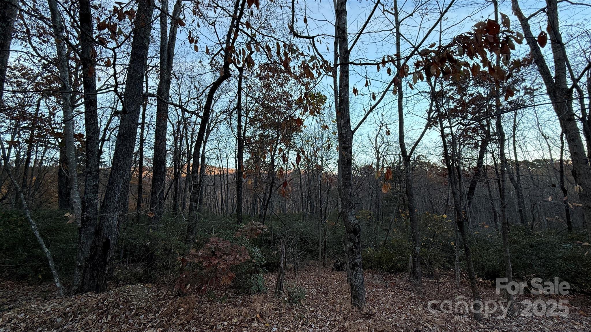 Quail Ridge - Land