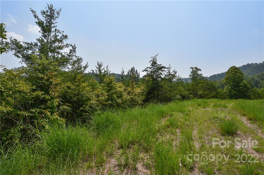 COME TAKE YOUR PICK!  Great, easy to build lots in platted subdivision.  Affordably priced!  Build confidently in this community of homes.  Has underground power and fiber optics available.  A great place to work from home!  Located between Mars Hill and Marshall, NC. Easy, convenient drive to groceries, restaurants, stores, and schools.