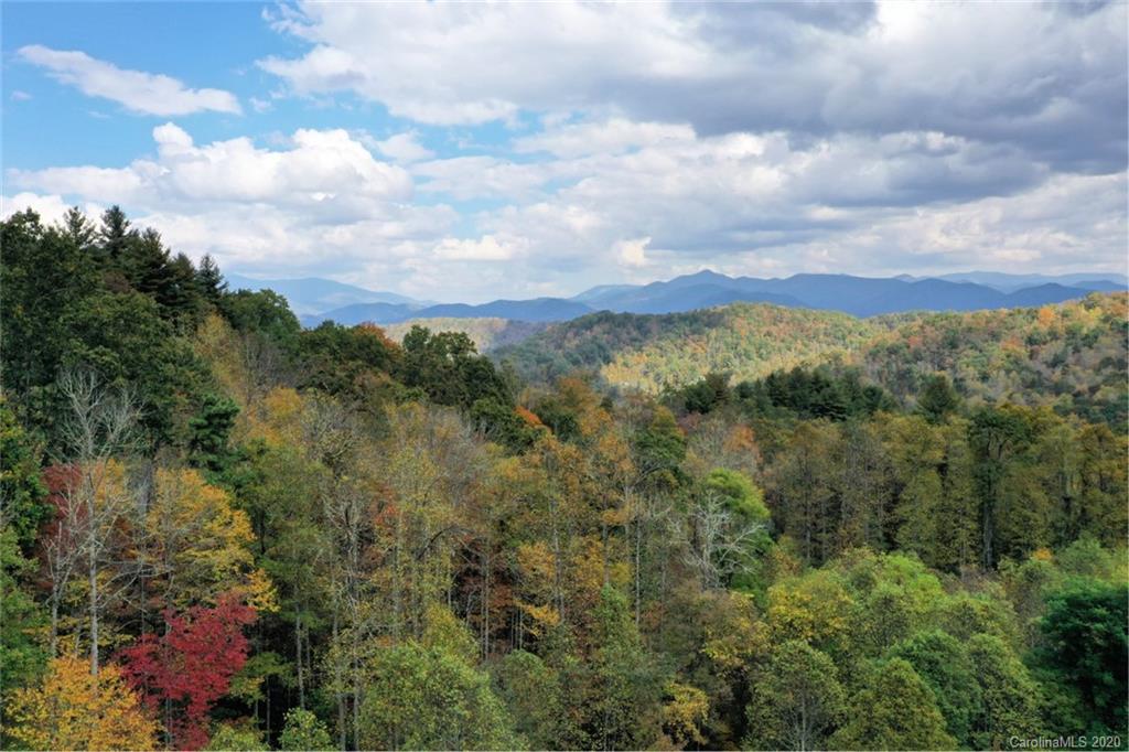 Mountain Forest Estates - Land
