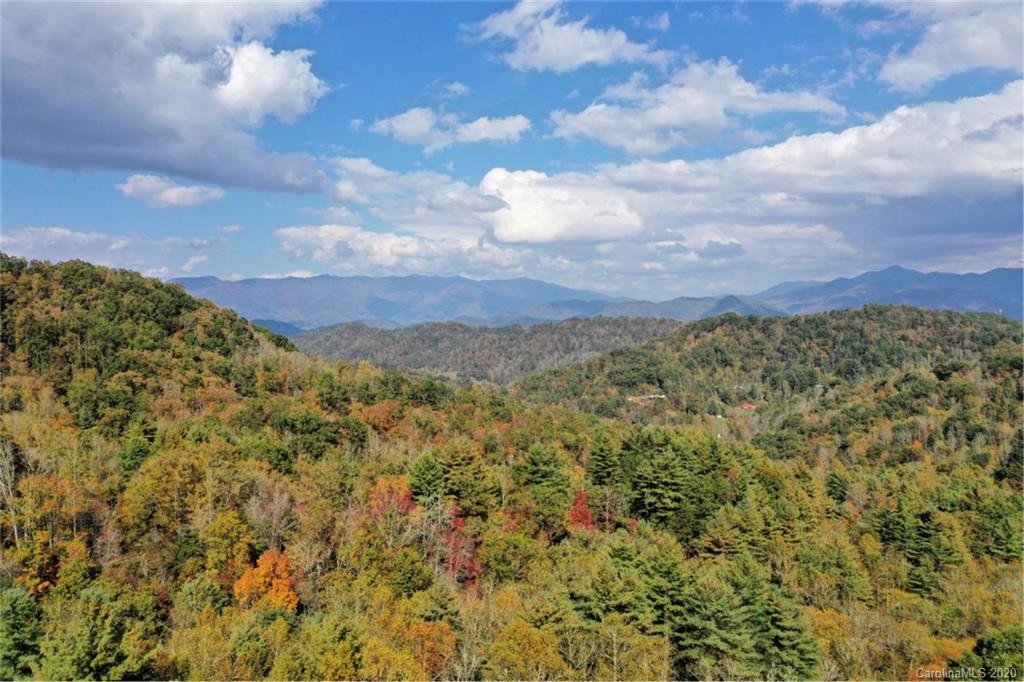 Mountain Forest Estates - Land
