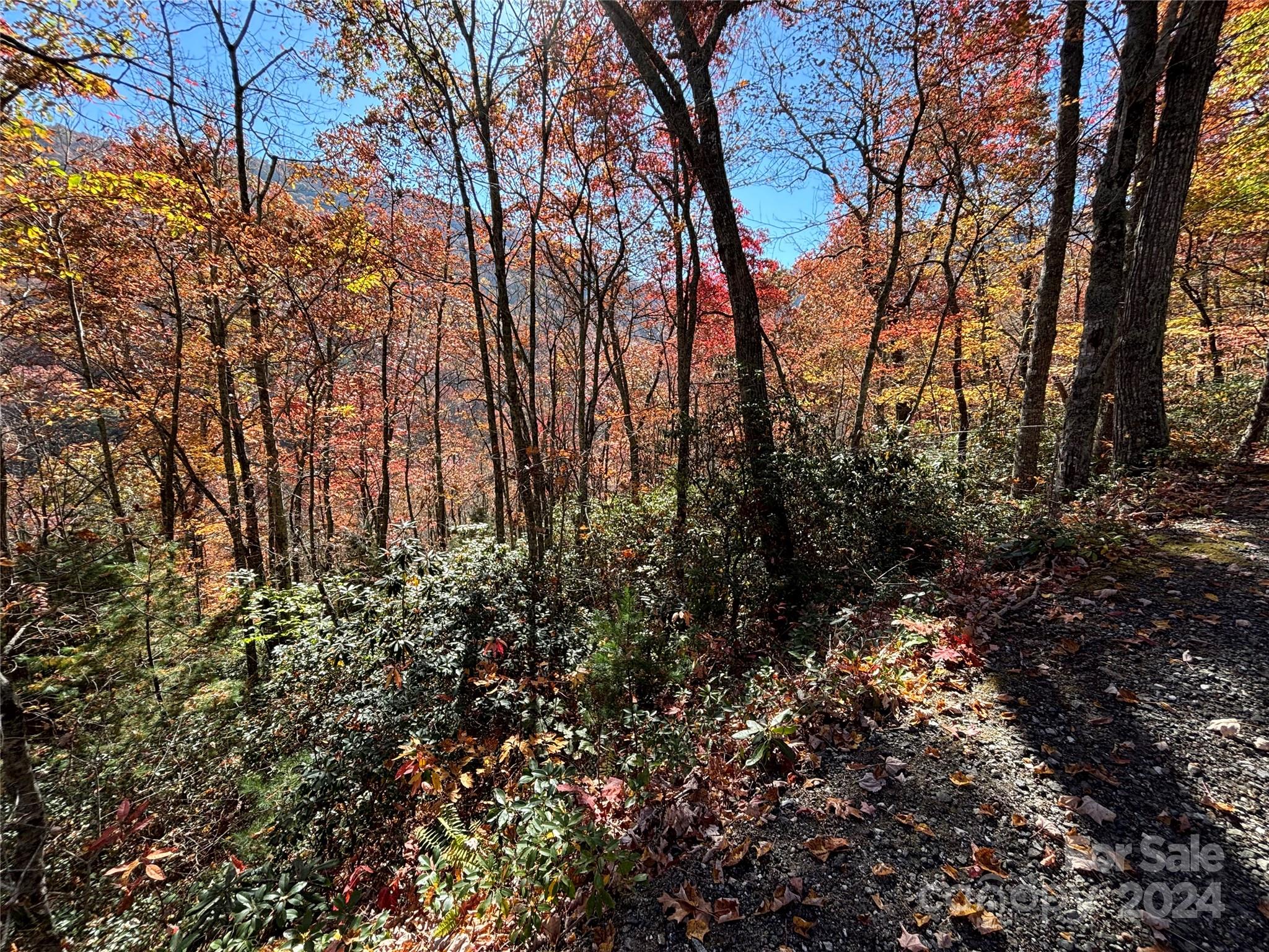 Coppermine Ridge - Land