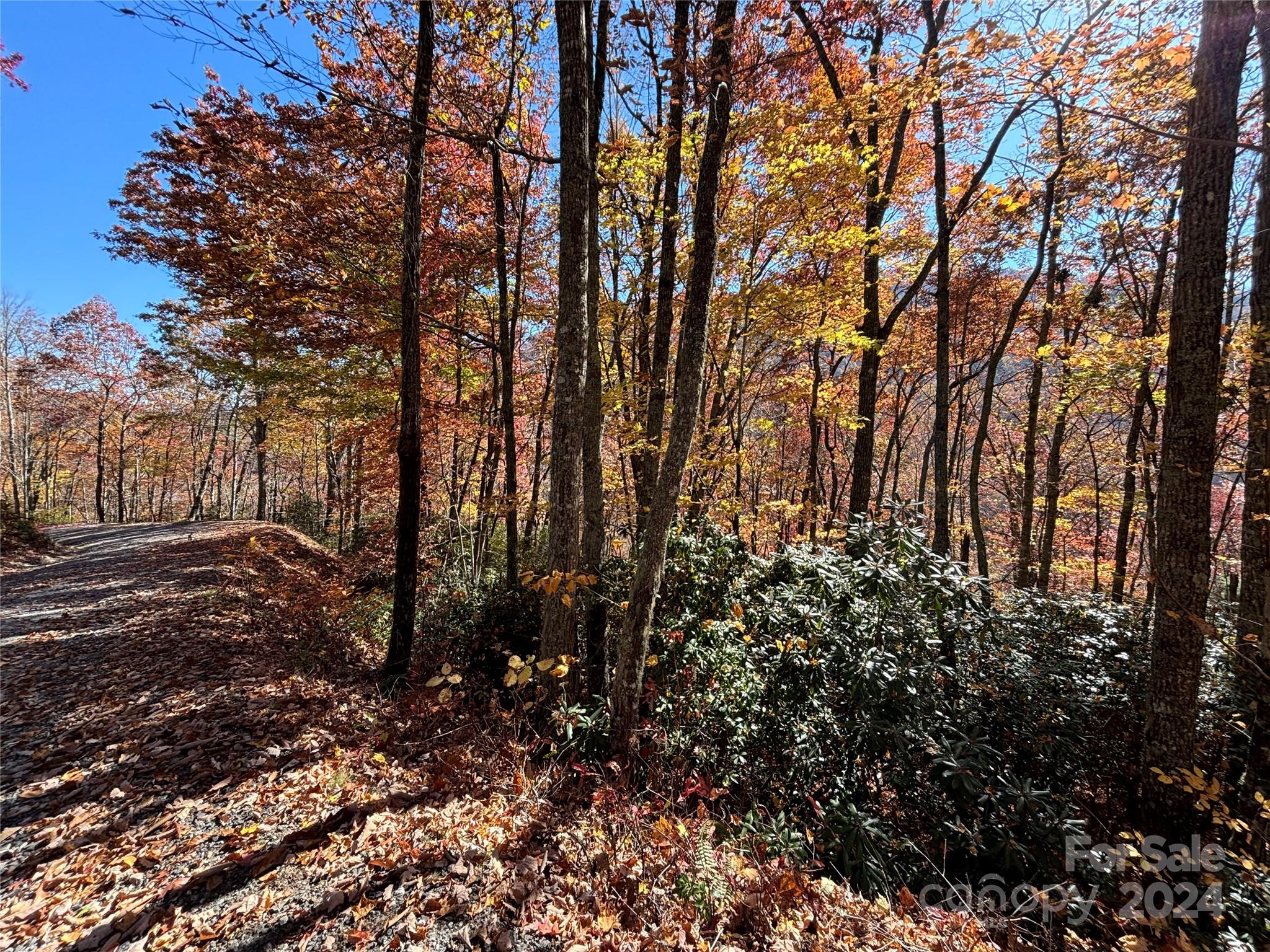 Coppermine Ridge - Land