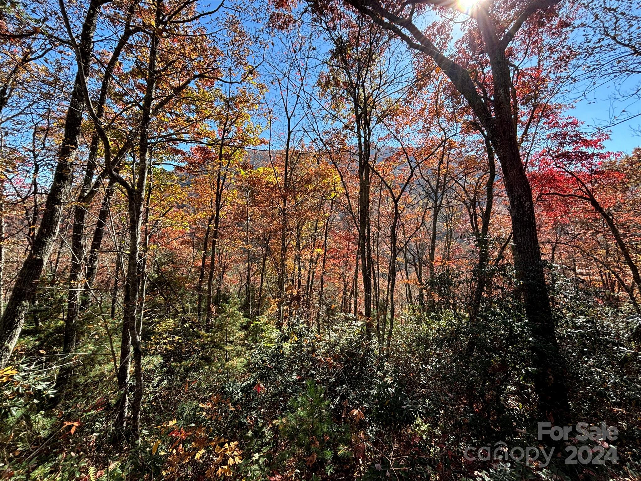 Coppermine Ridge - Land