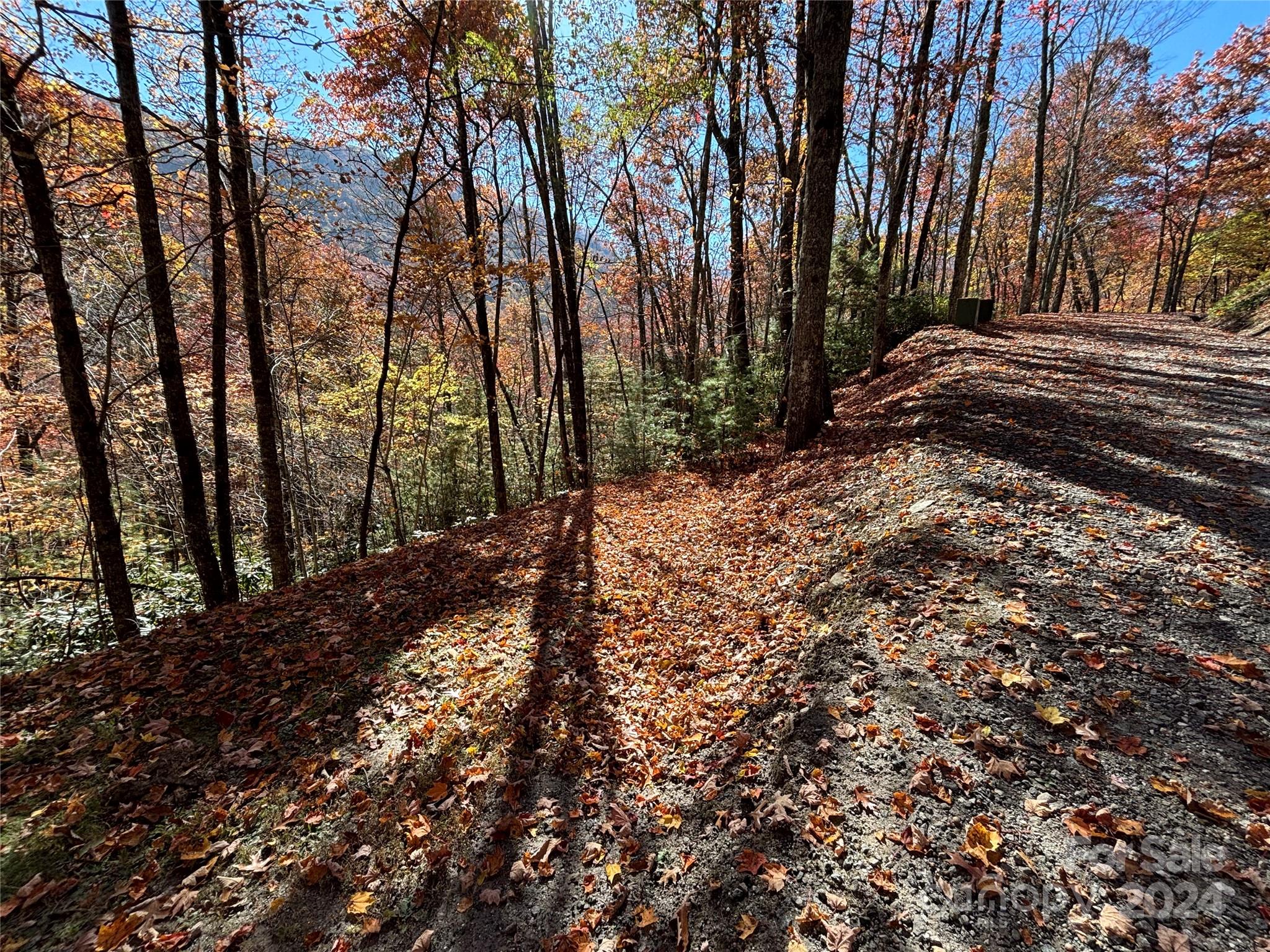 Coppermine Ridge - Land
