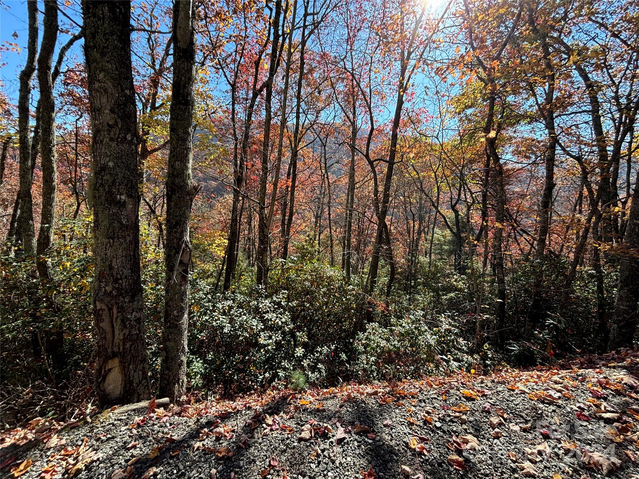 Coppermine Ridge - Land