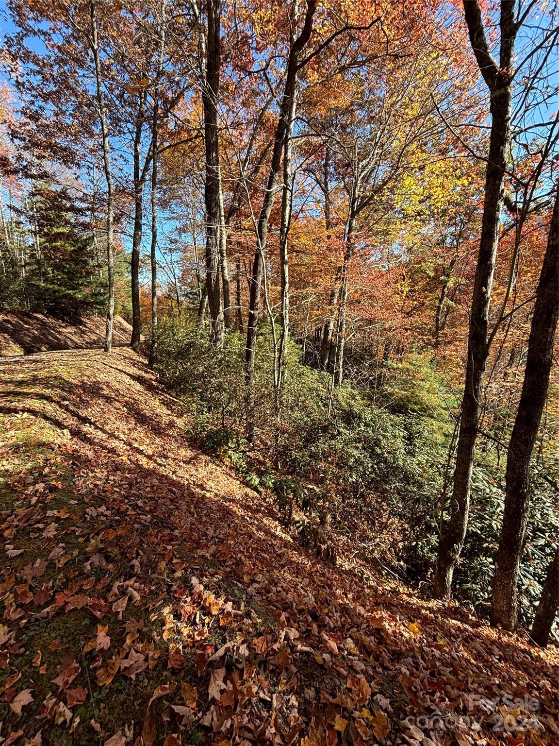 Coppermine Ridge - Land