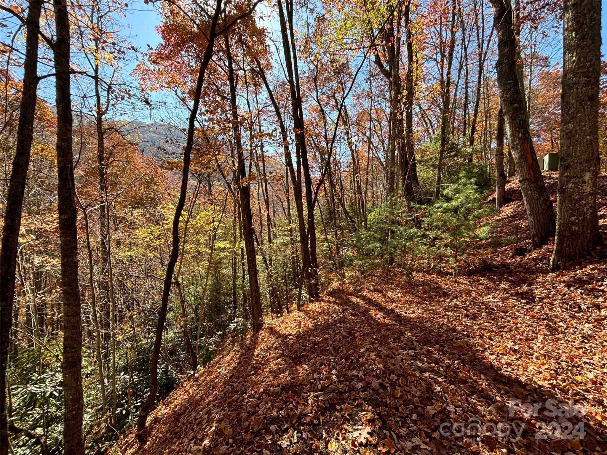 Coppermine Ridge - Land