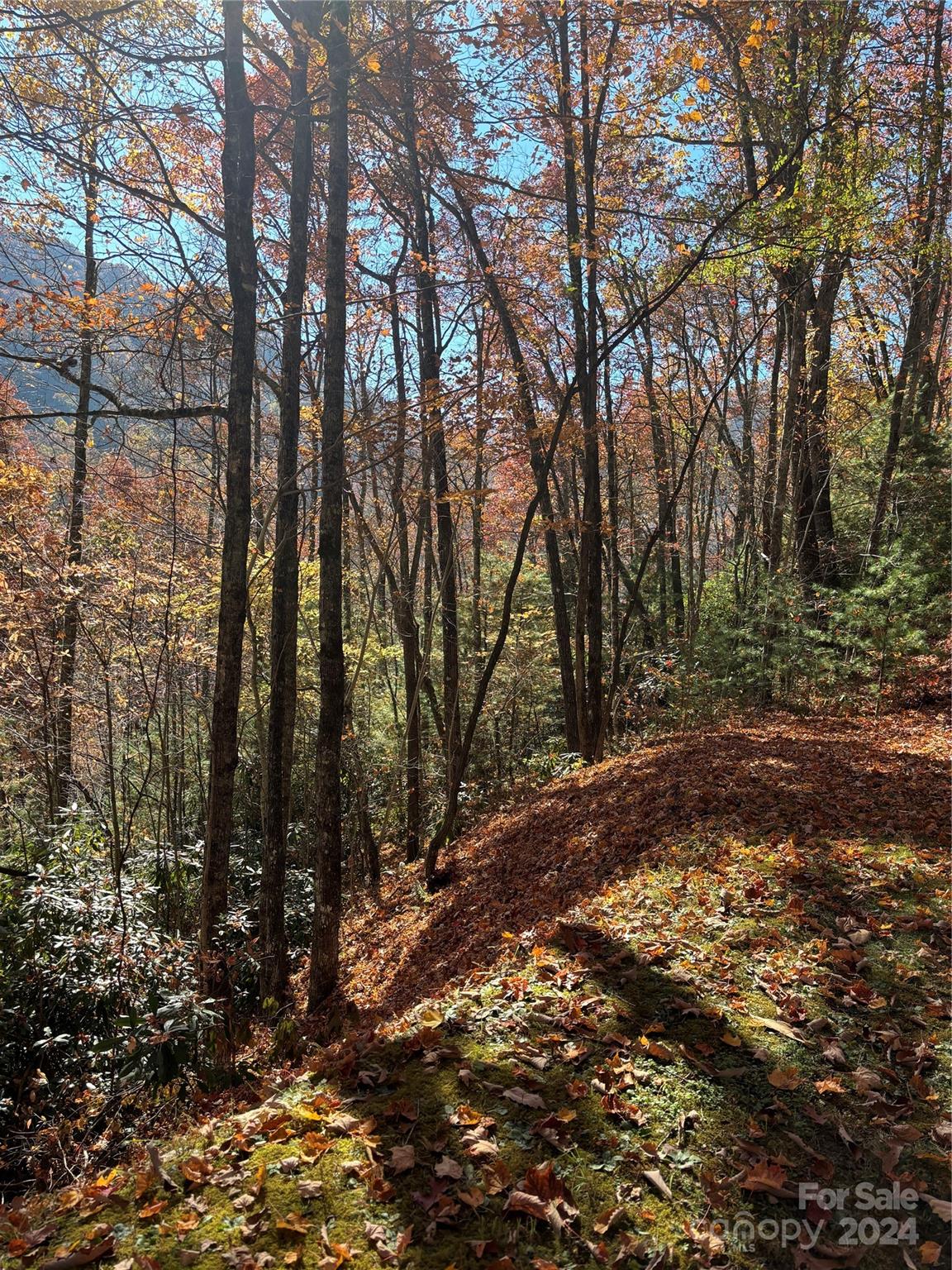 Coppermine Ridge - Land