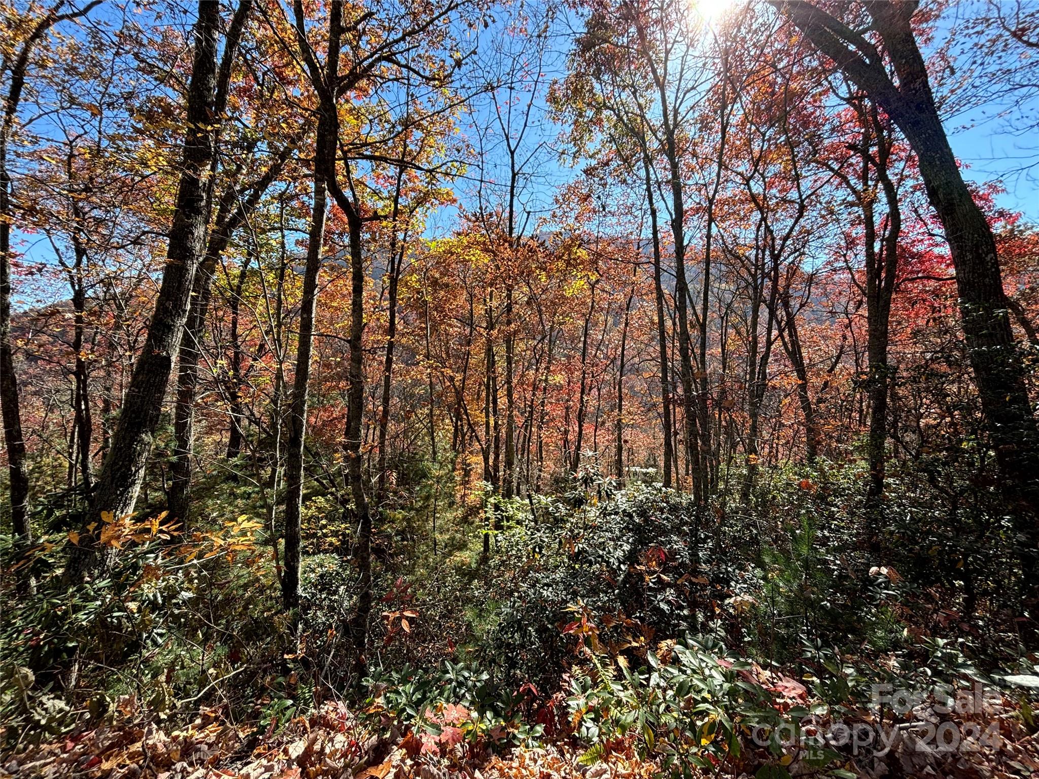 Coppermine Ridge - Land
