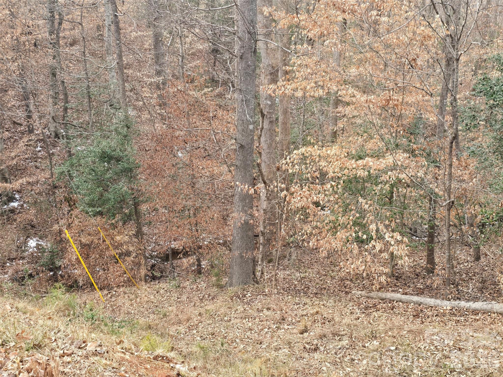 Carolina Forest - Land