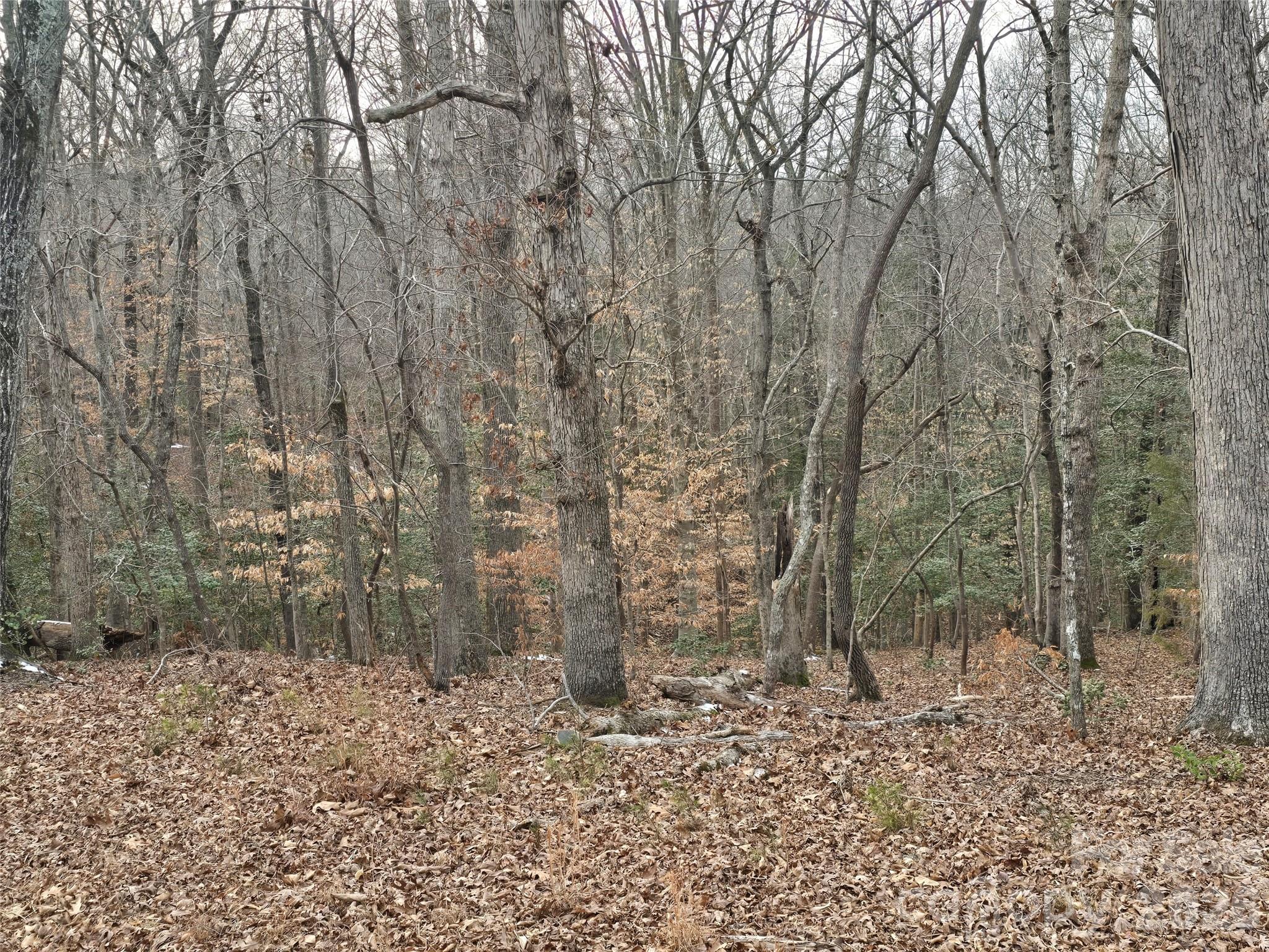 Carolina Forest - Land