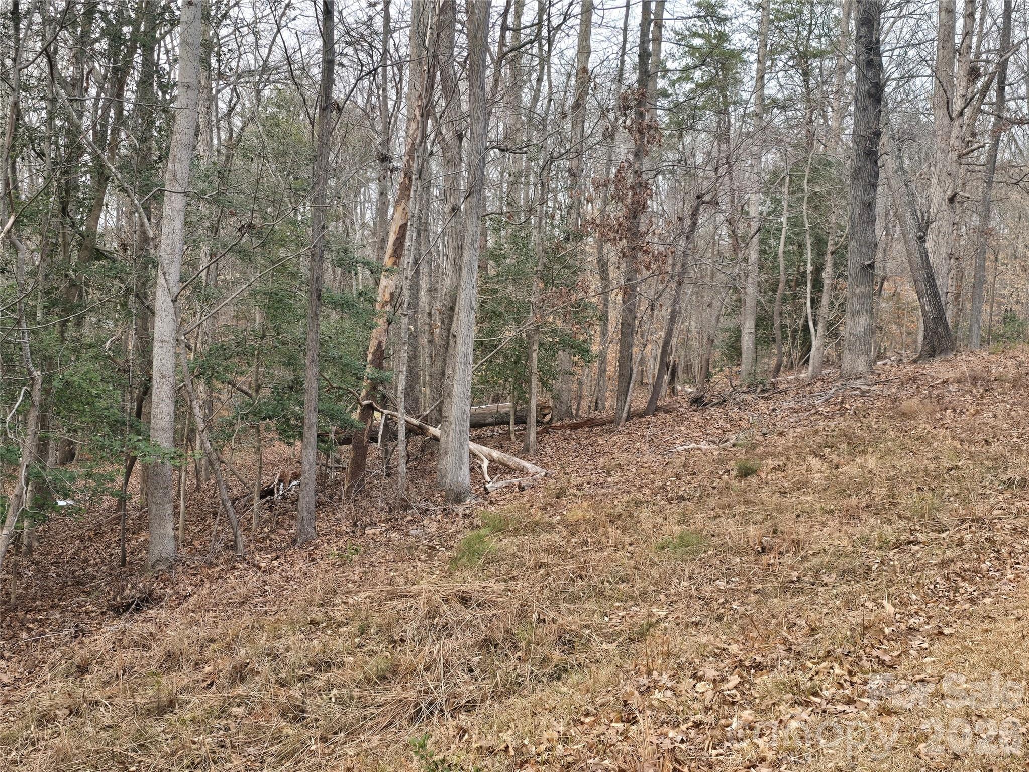 Carolina Forest - Land