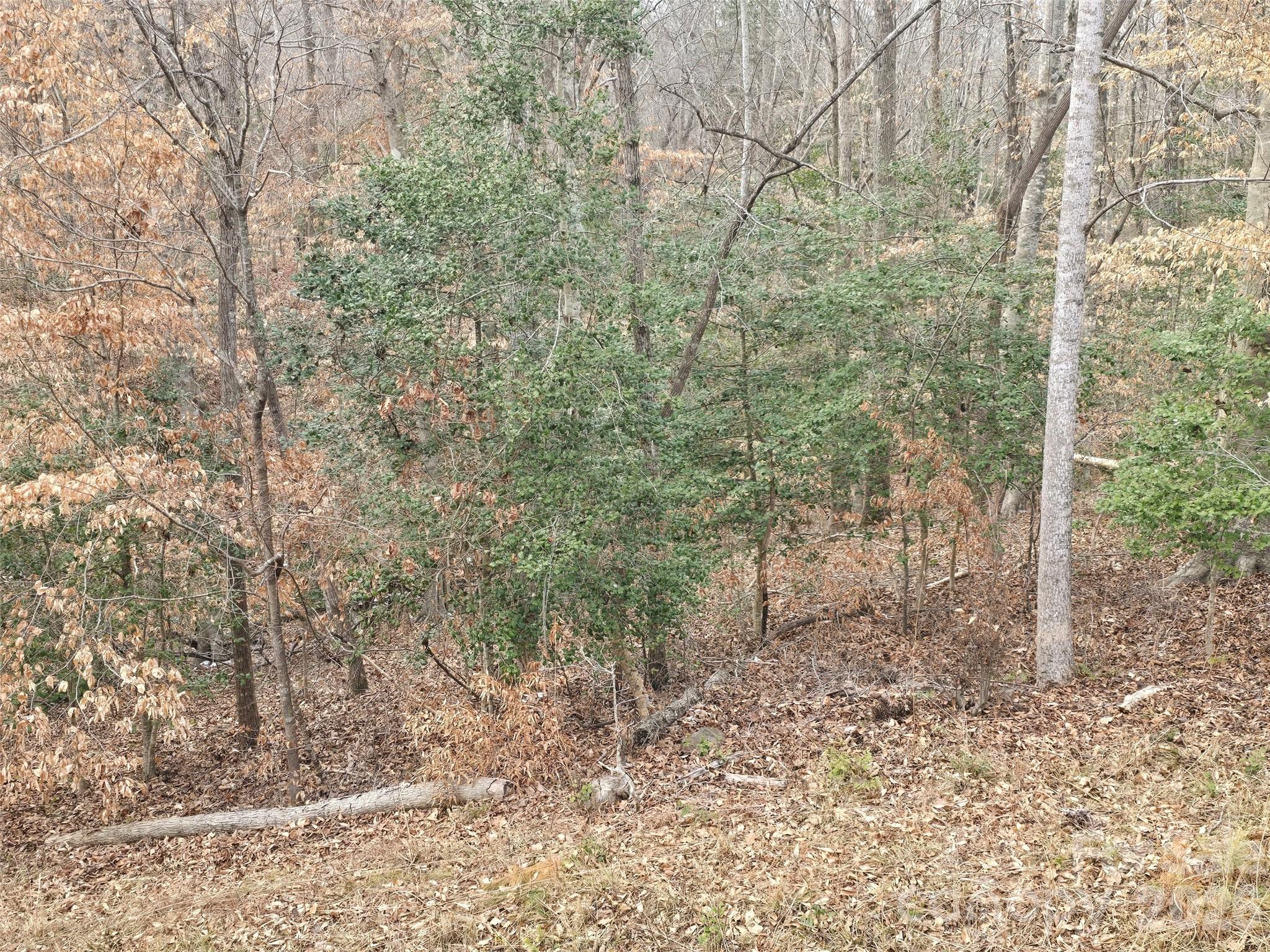 Carolina Forest - Land