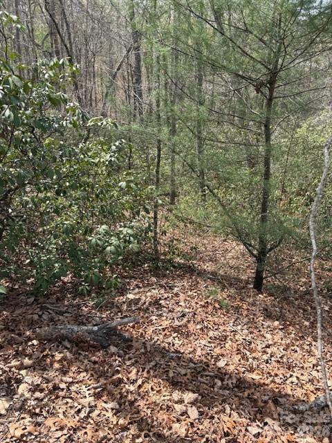 Riverbend at Lake Lure - Land